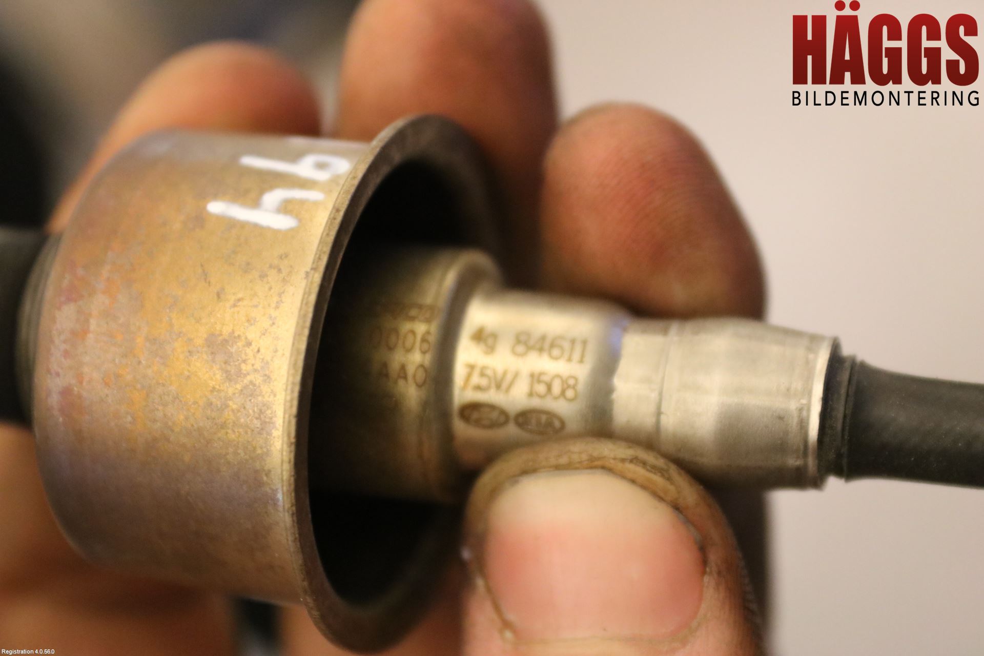 Kia PICANTO 17- Injlambdasond