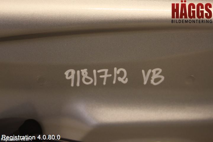 Renault MEGANE III 09-15 Dörr Bak Vänster