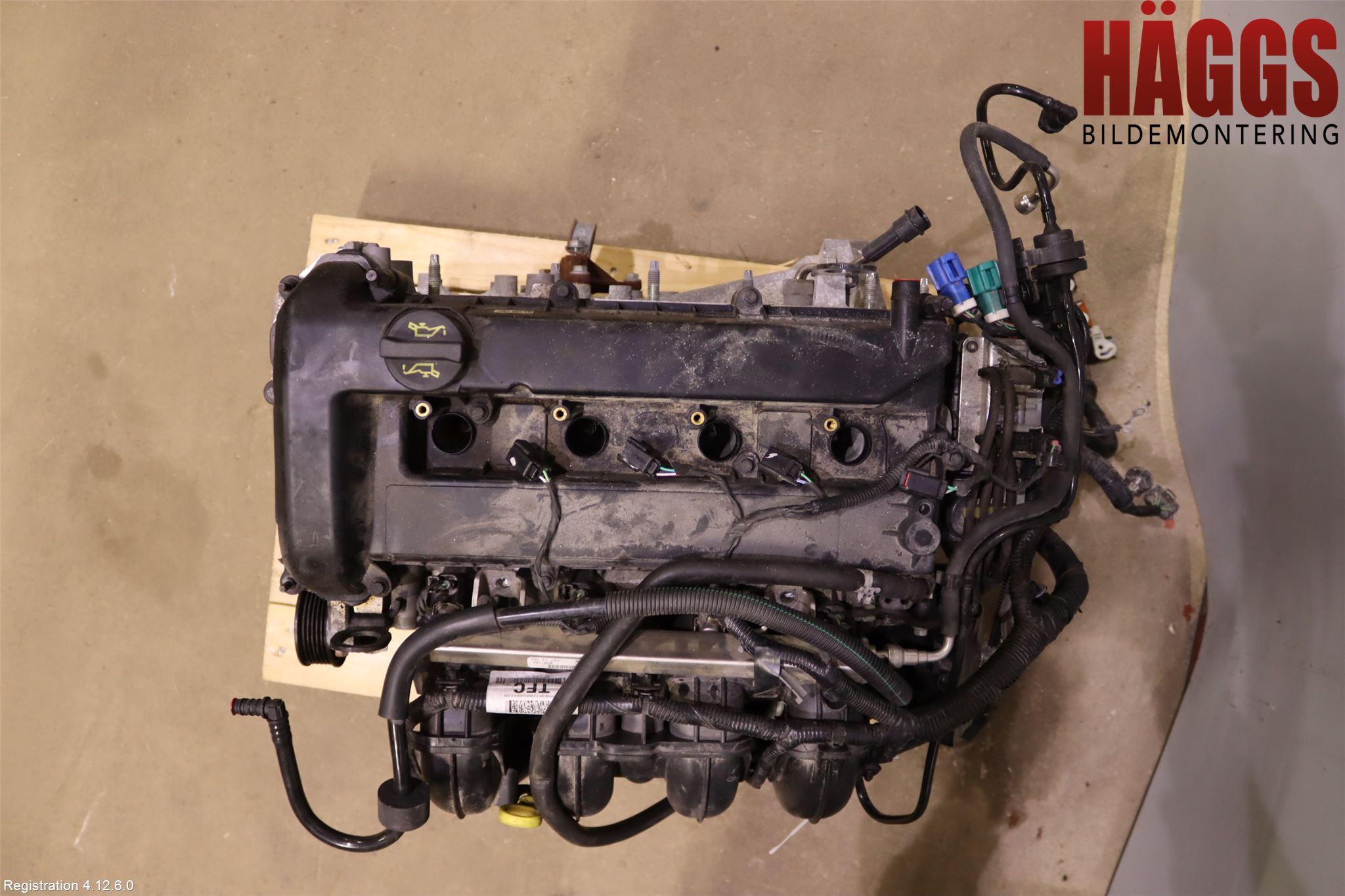 Ford FOCUS 08-11 Motor Bensin