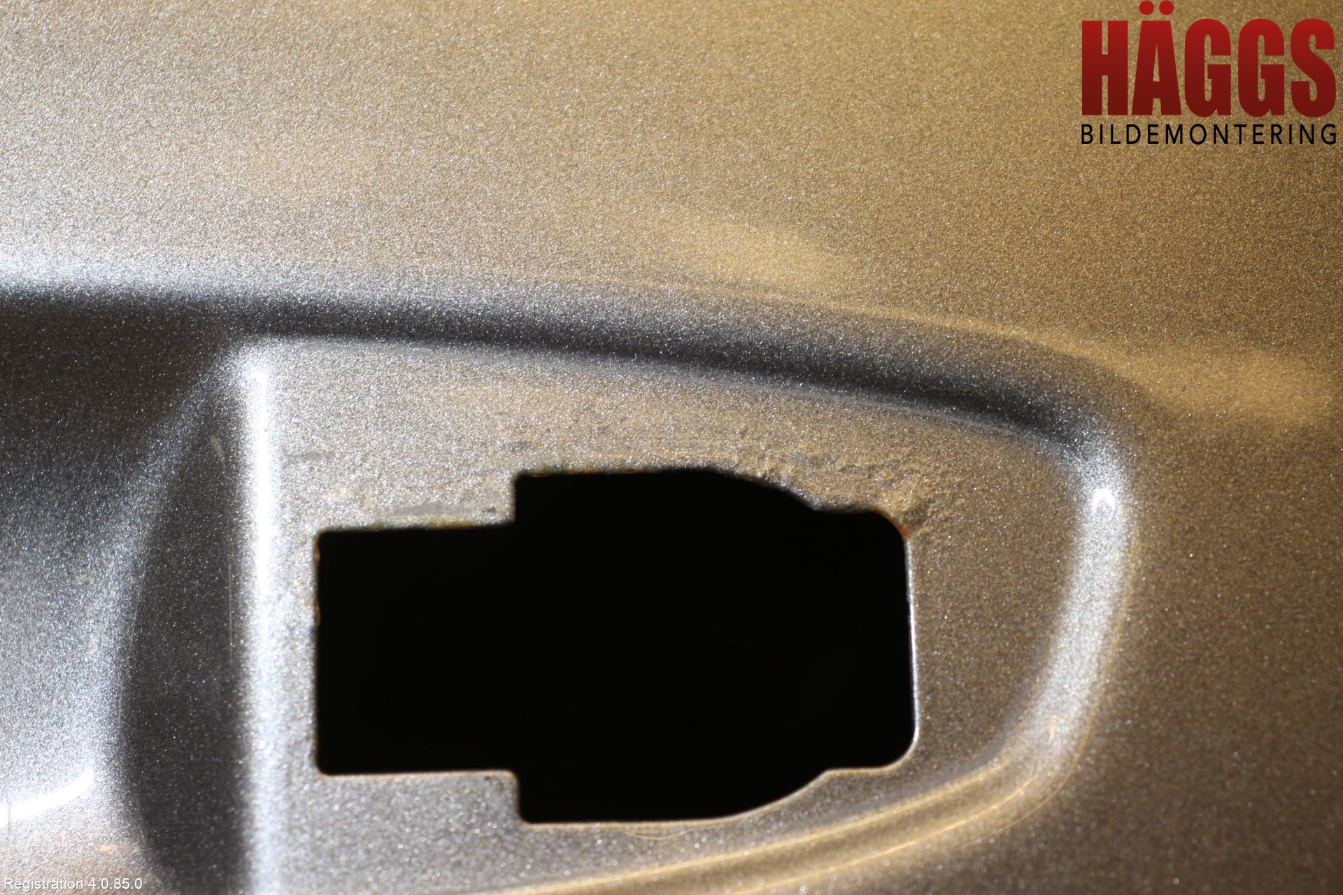 Volkswagen VW GOLF / E-GOLF VII 13-20 Dörr Bak Vänster