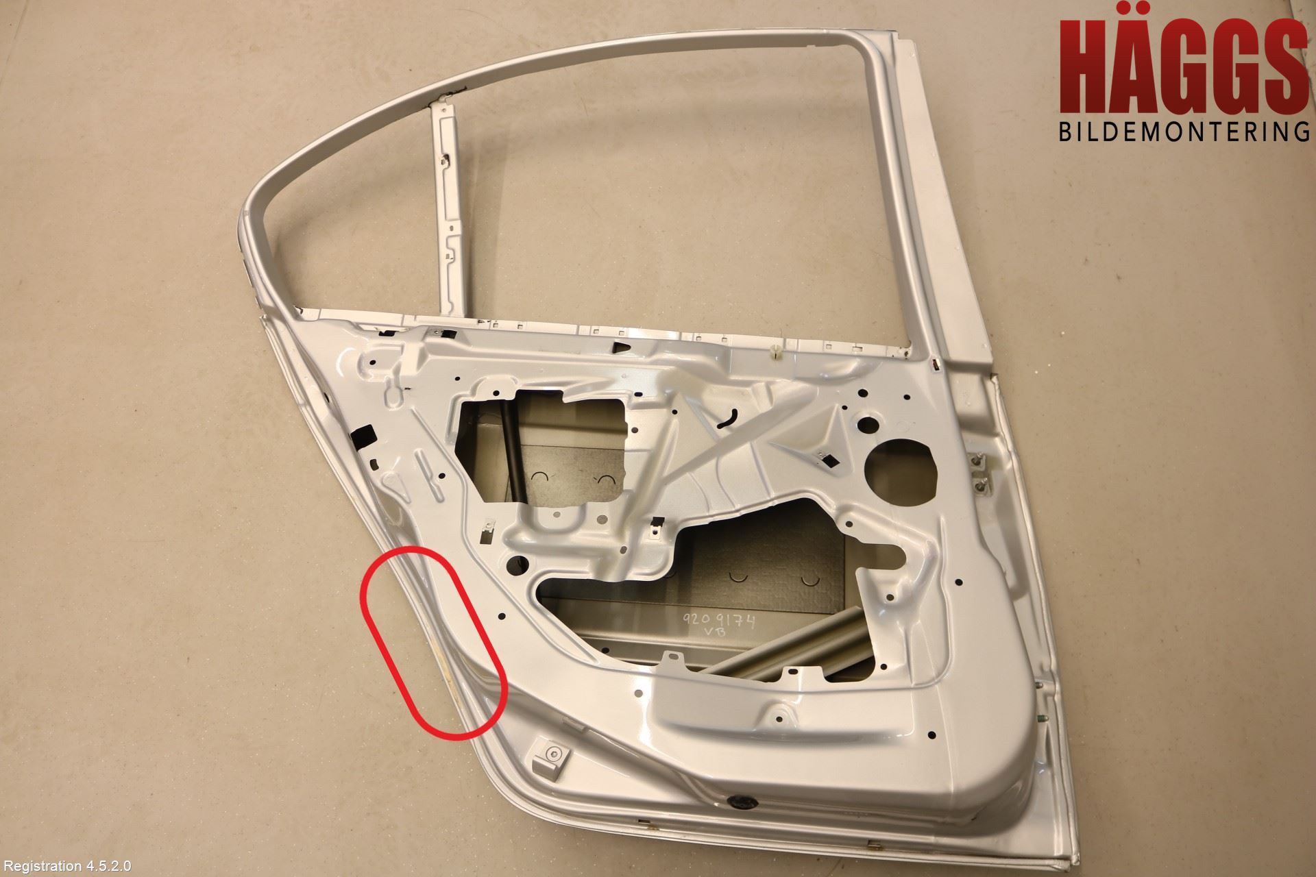 BMW 3 E46      98-05 Dörr Bak Vänster