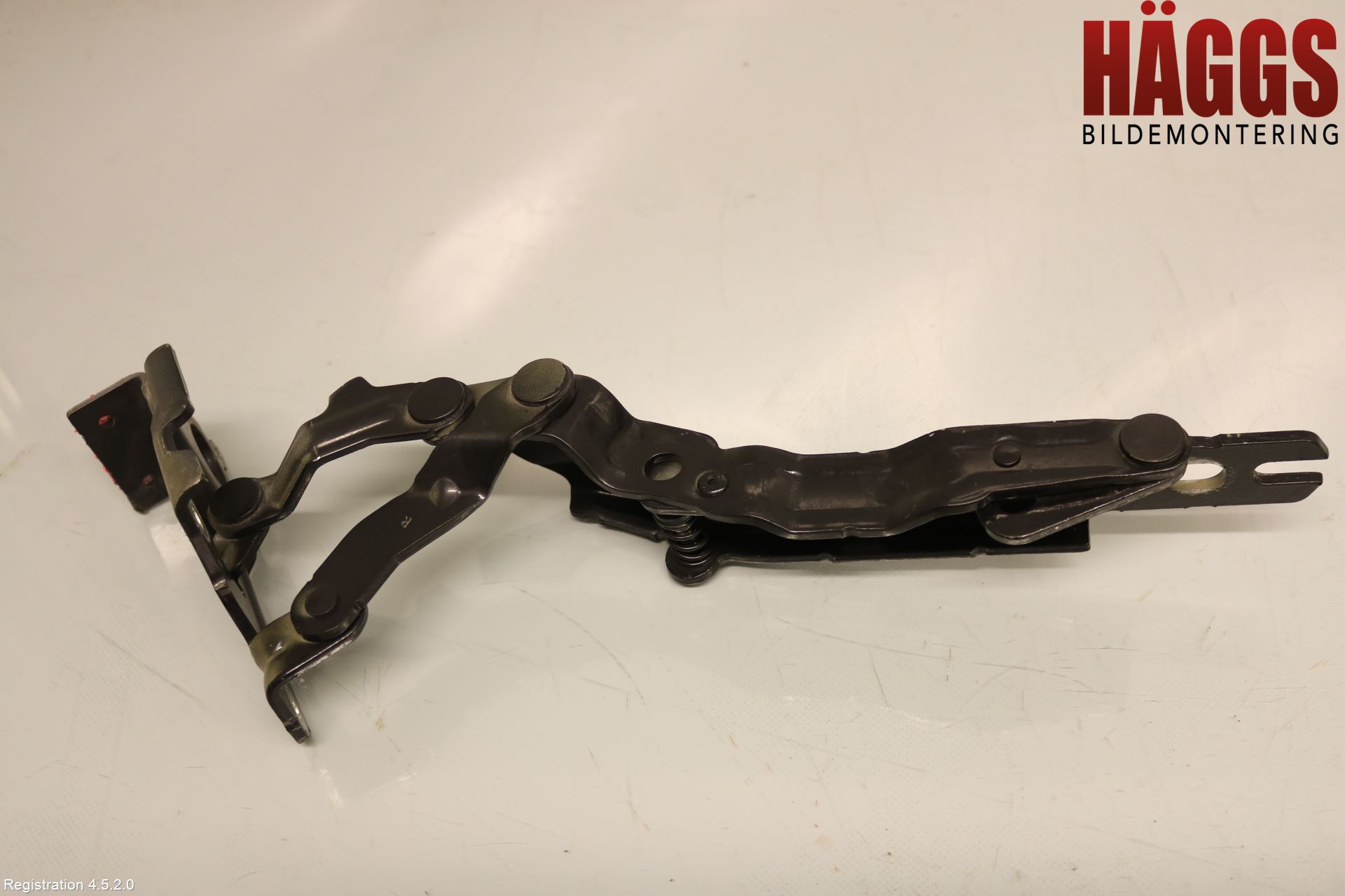 Fiat FREEMONT Huvgångjärn