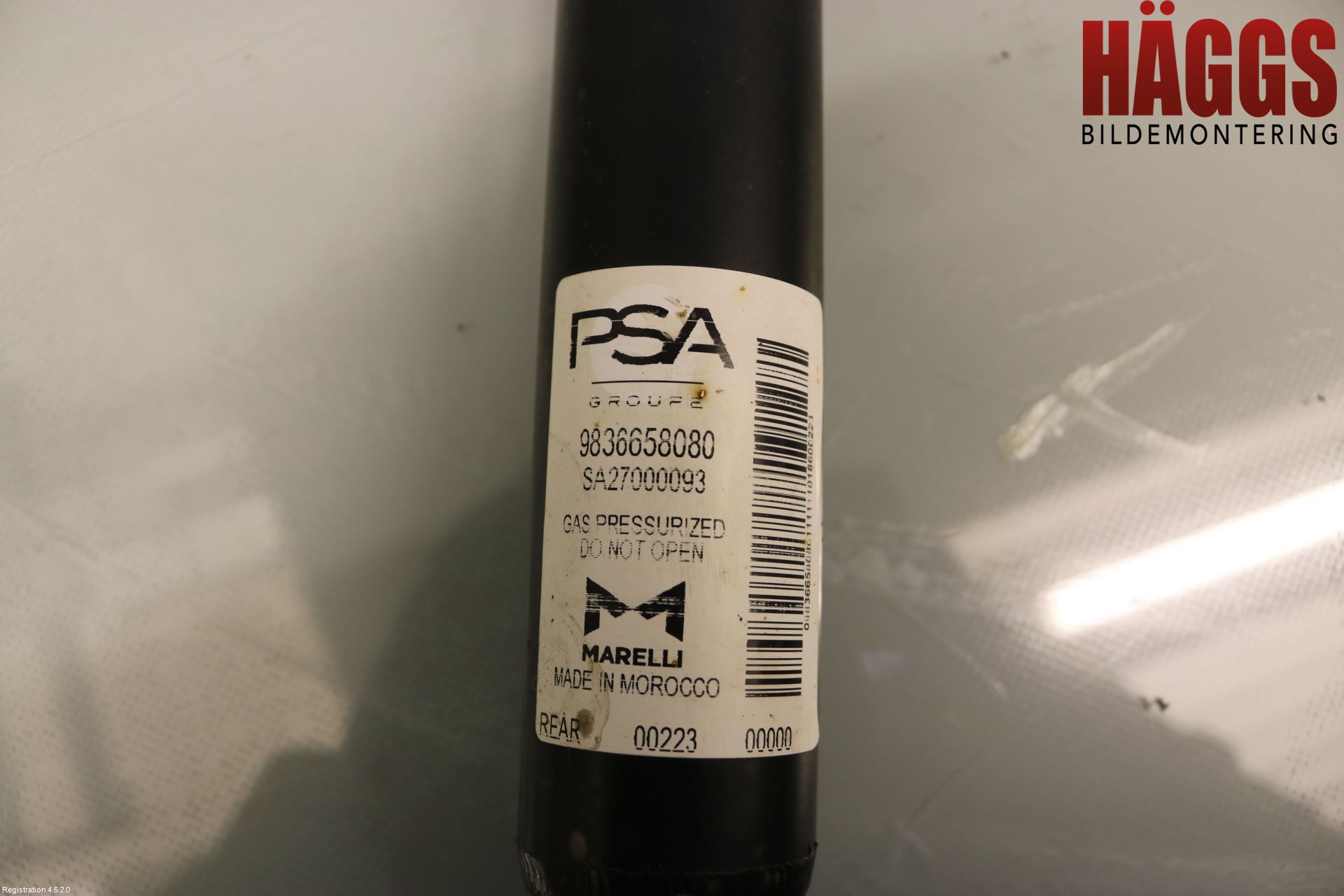 Peugeot 2008/E-2008 20- Stötdämpare Bak