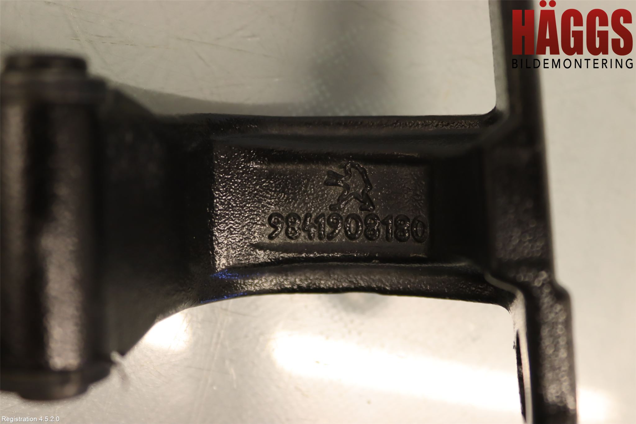 Peugeot 408 22- Bakluckegångjärn Hö