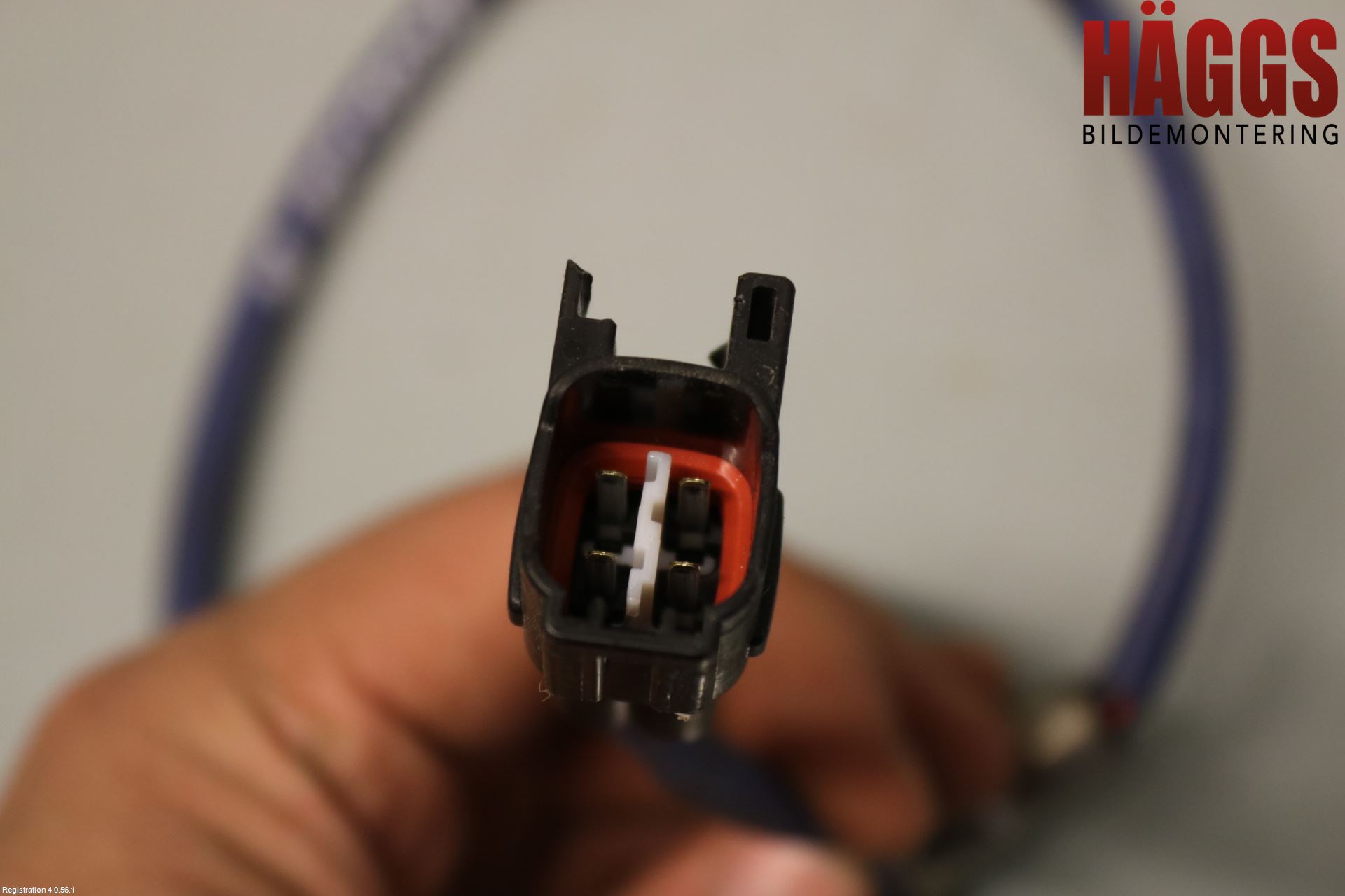 Suzuki VITARA 15- Injlambdasond