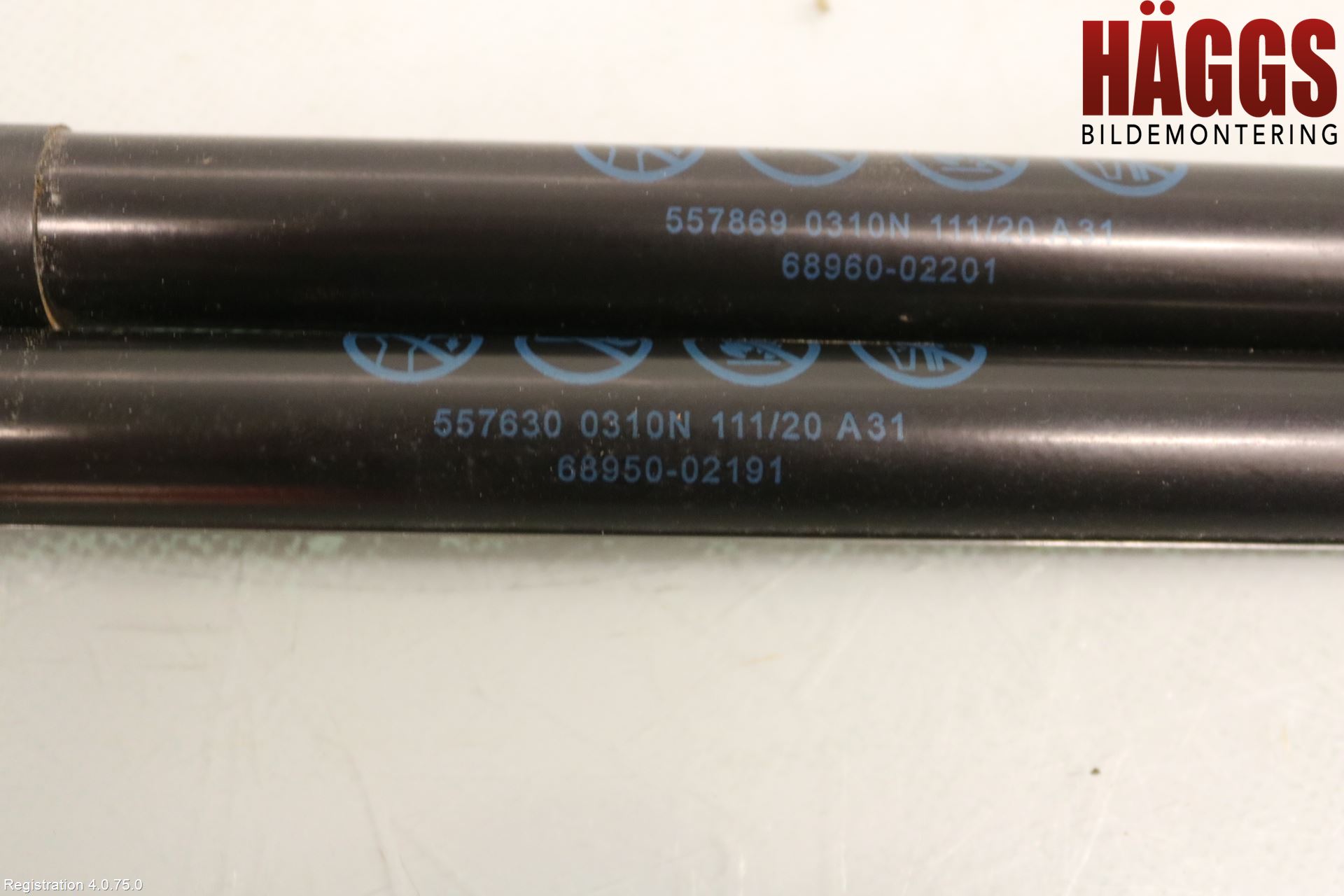 Toyota COROLLA 19- Gasfjäder Baklucka