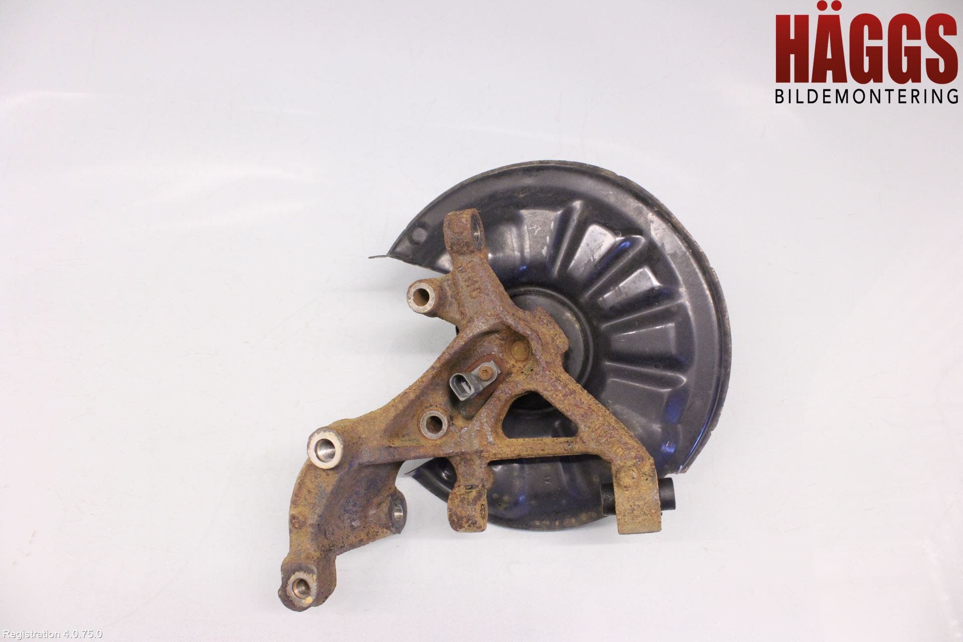 Volkswagen VW GOLF / E-GOLF VII 13-20 Hjullagerhus-Spindel Hö B
