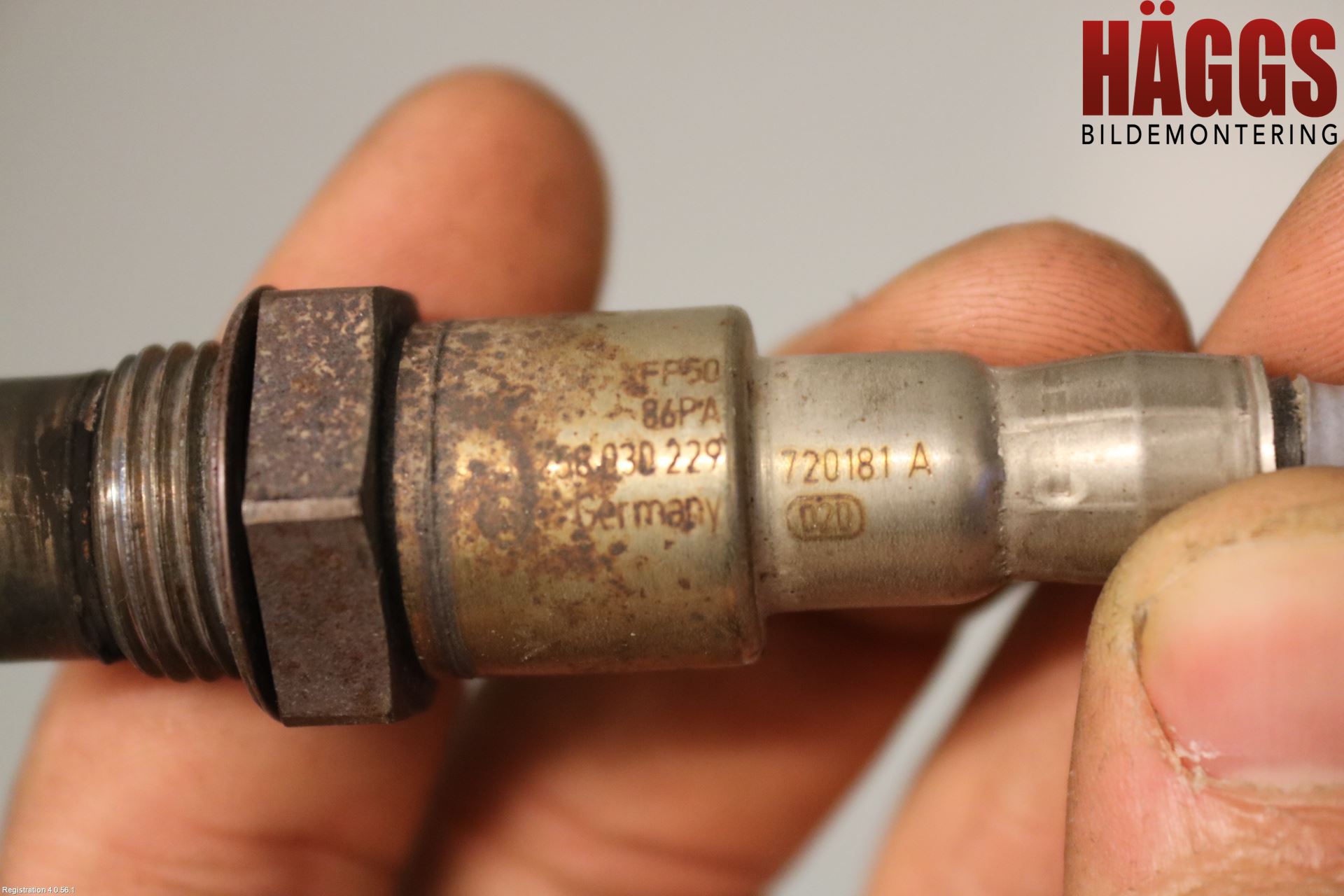 Suzuki VITARA 15- Injlambdasond