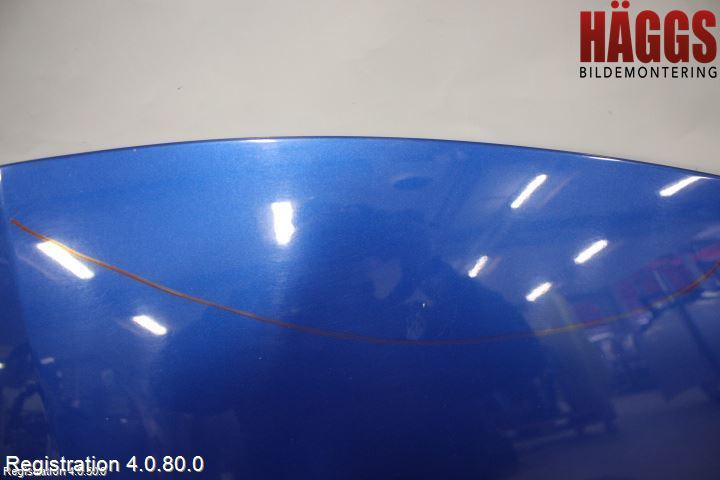 Renault CLIO III  06-09 Huv Fram