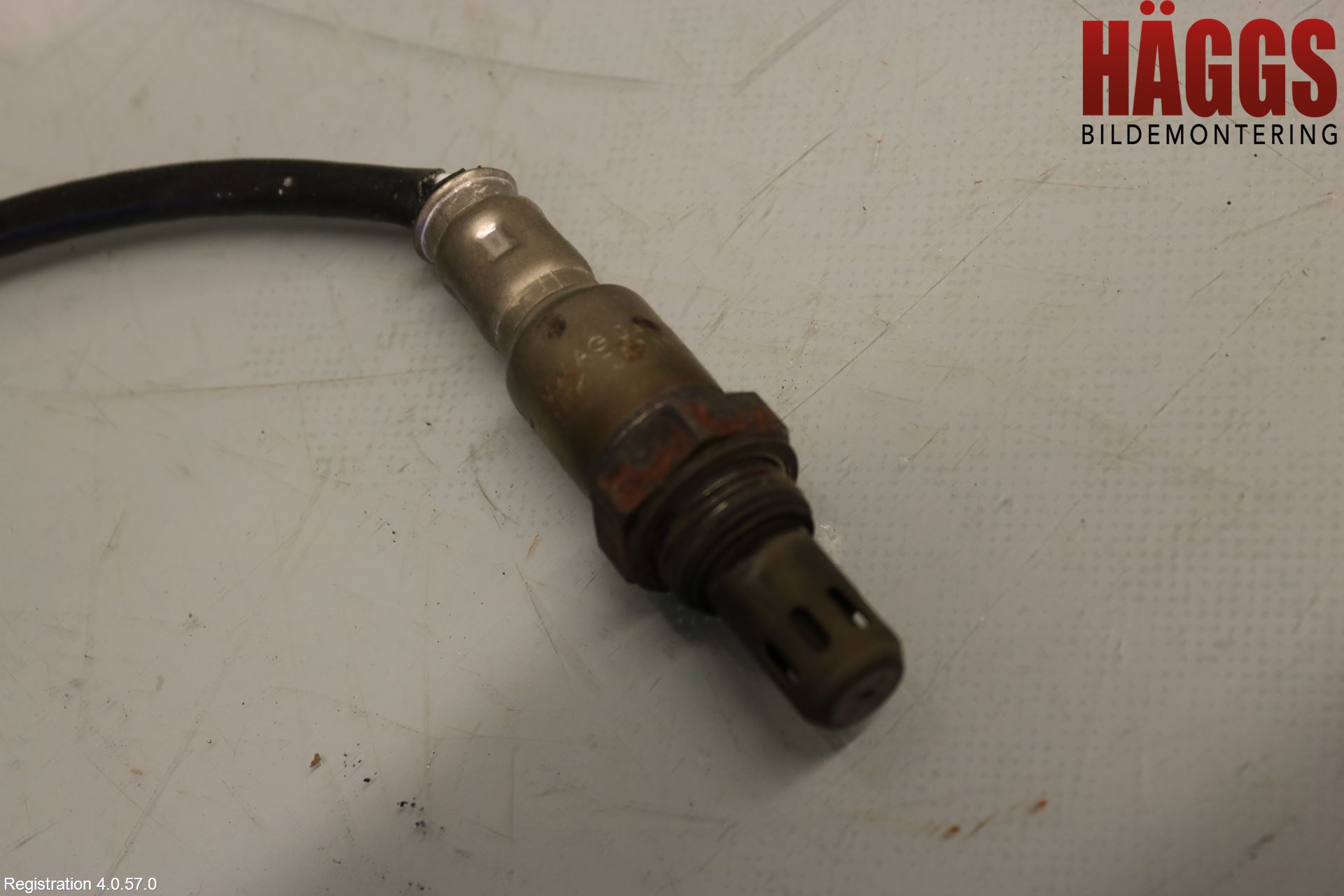 Volkswagen VW TIGUAN 16-24 Injlambdasond