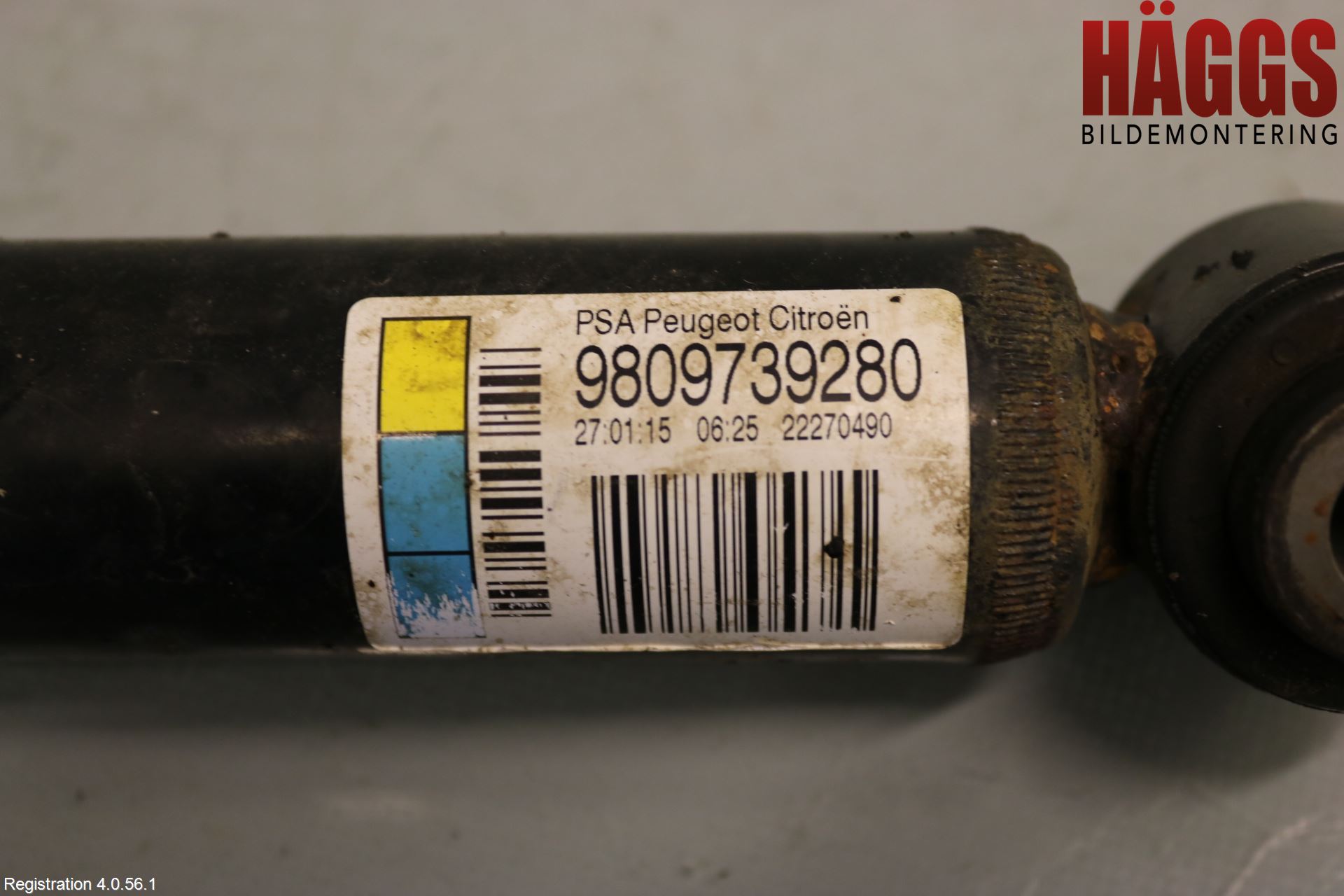 Citroen C4 CACTUS 14-20 Stötdämpare Bak