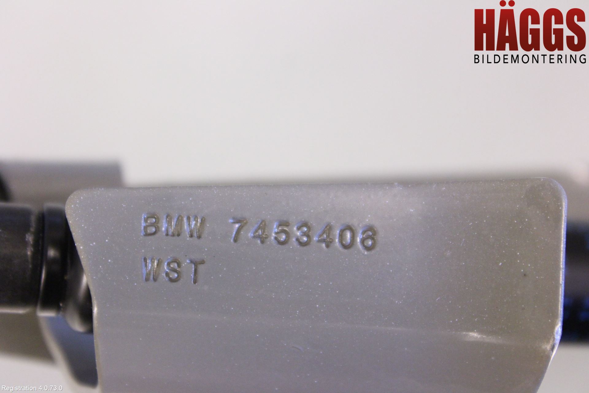BMW 3 G20/G21/G80/G81 19- Bakluckegångjärn Hö