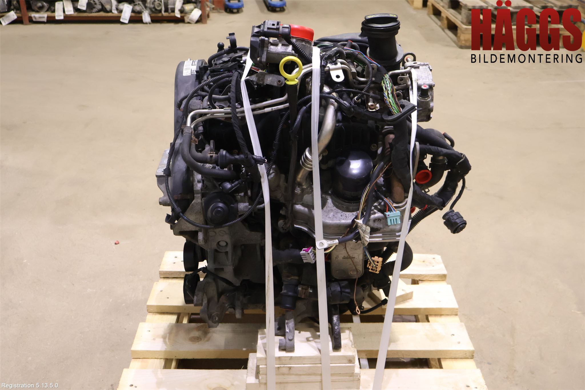 Volkswagen VW TRANSP/CARAVELLE (T5) 04-15 Motor Diesel