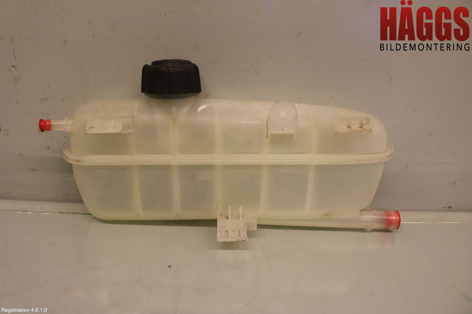 Renault ZOE/E-TECH 13- Expansionstank