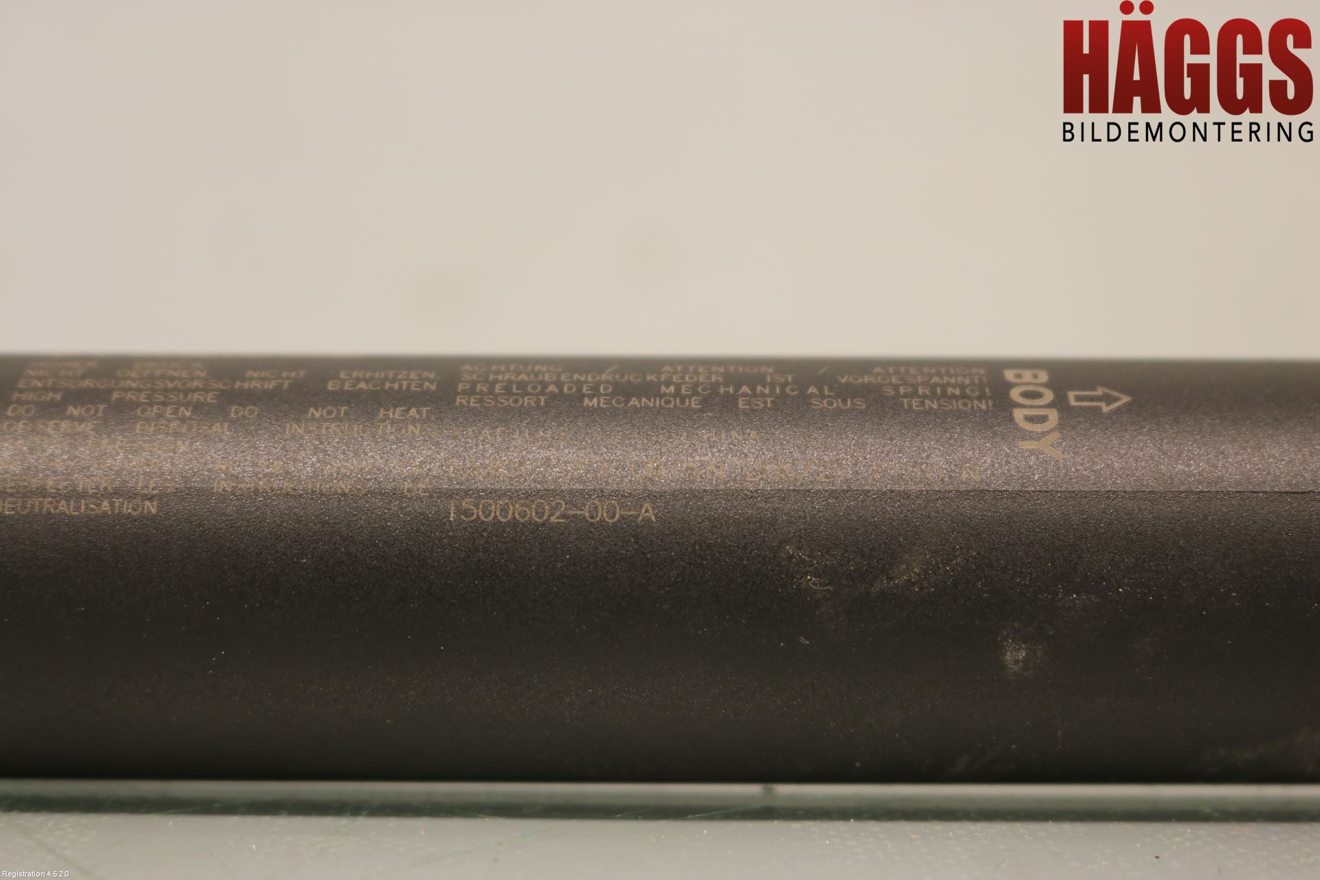 Tesla MODEL Y 21- Gasfjäder Baklucka