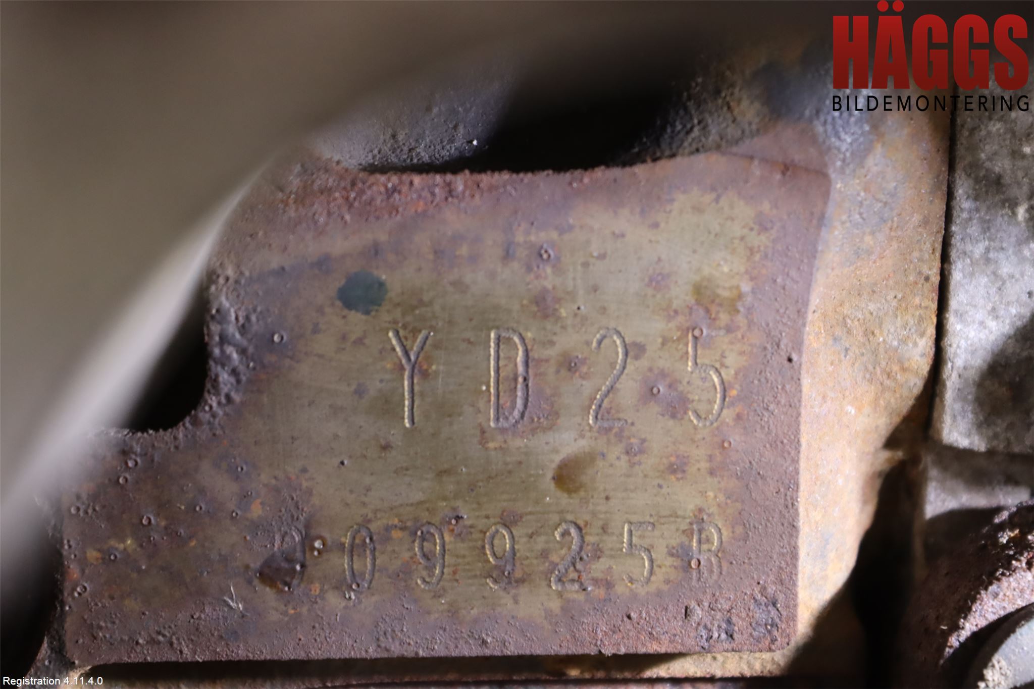 Nissan NAVARA 05-16 Motor Diesel