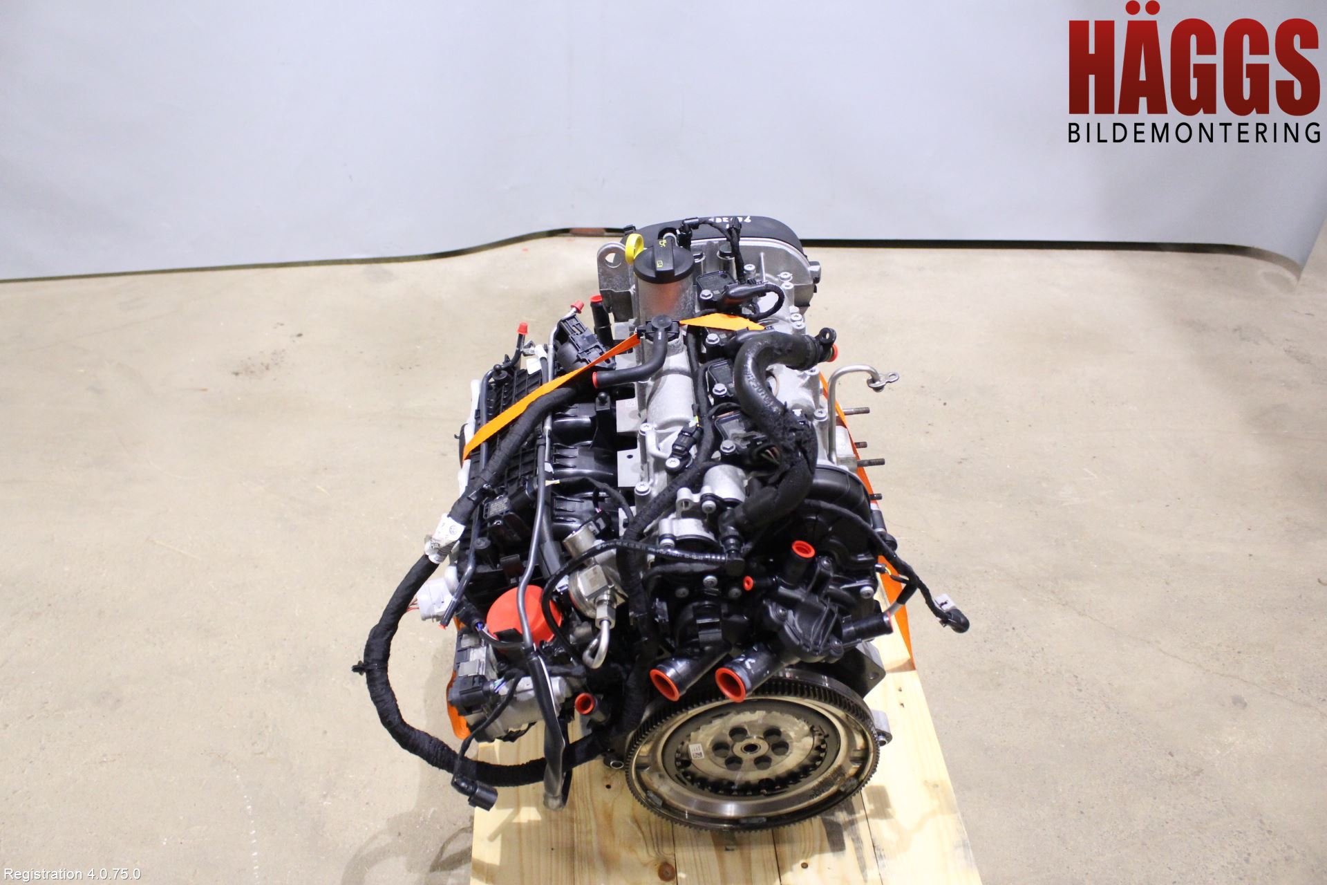 Volkswagen VW GOLF / E-GOLF VII 13-20 Motor Bensin
