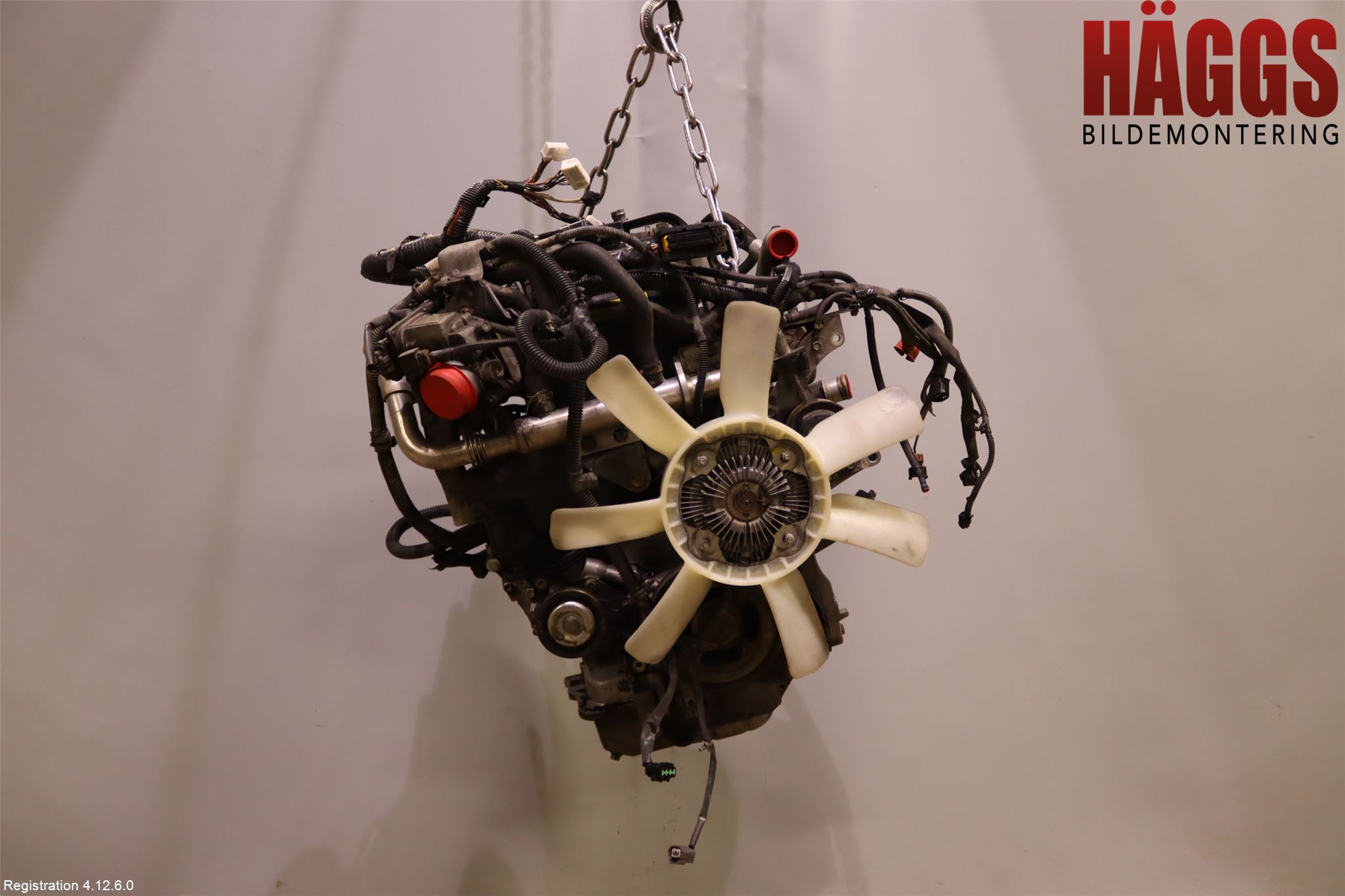 Nissan NAVARA 05-16 Motor Diesel