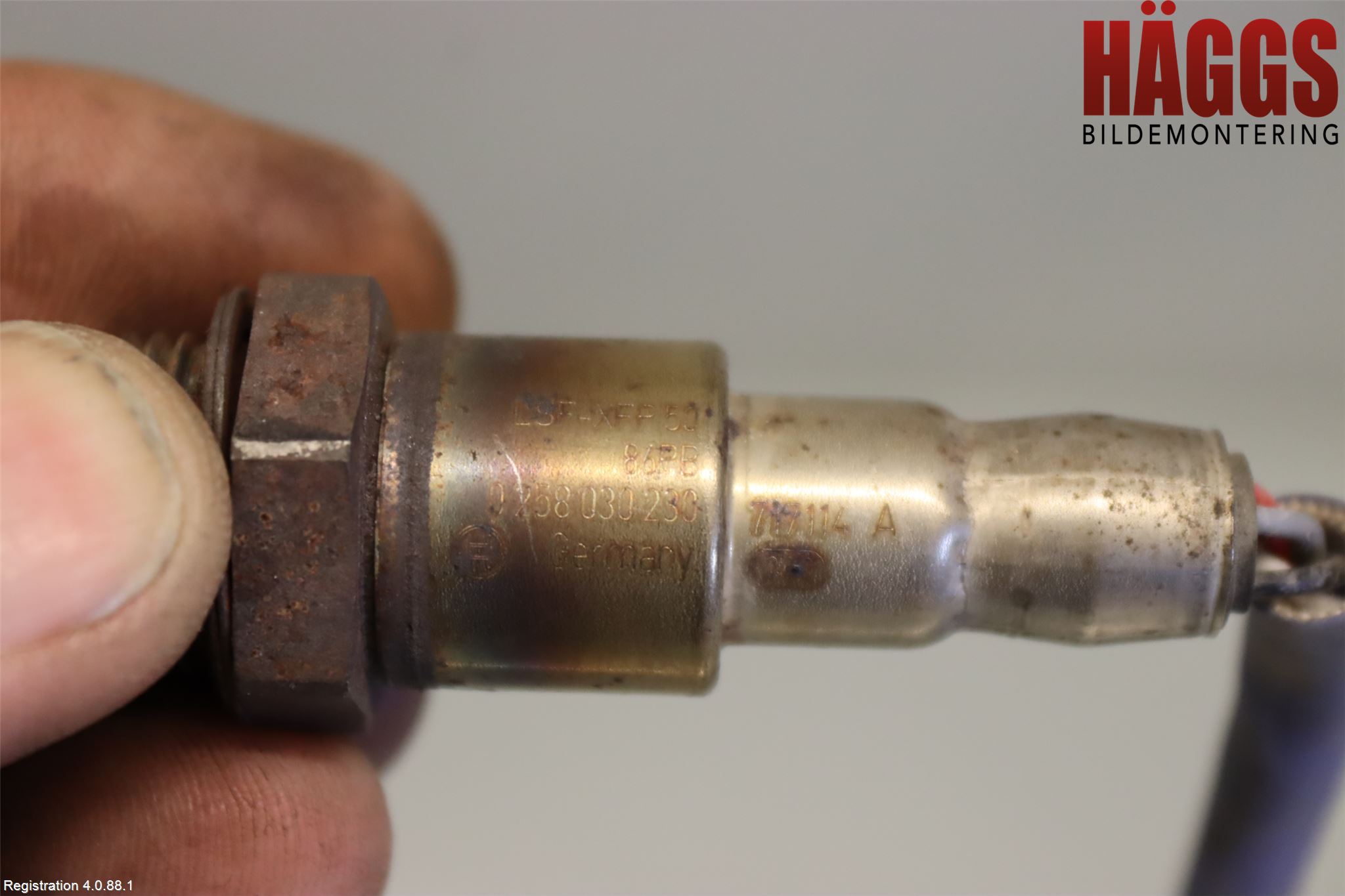 Suzuki VITARA 15- Injlambdasond