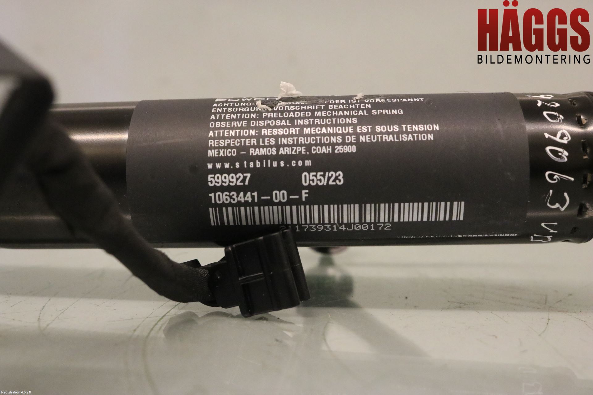 Tesla MODEL X 16- Gasfjäder Övrigt