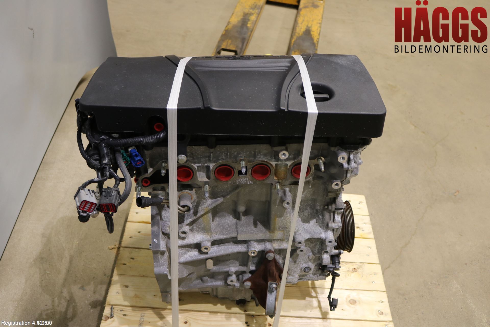 Ford FOCUS 08-11 Motor Bensin