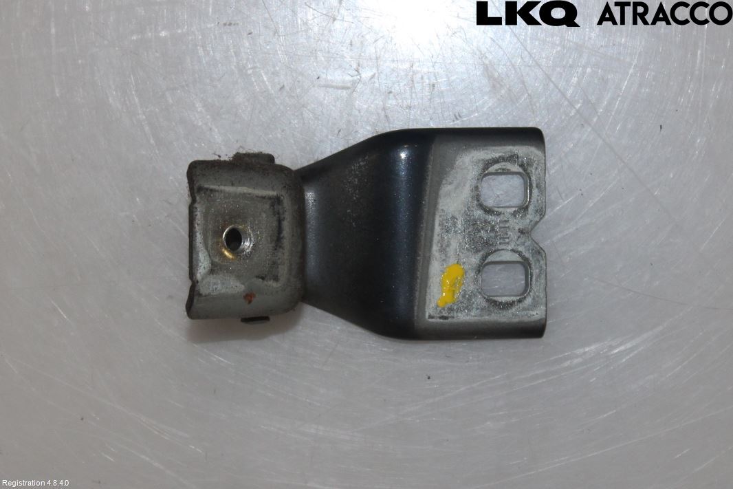 Ford S-MAX 06-15 Bakluckegångjärn Vä