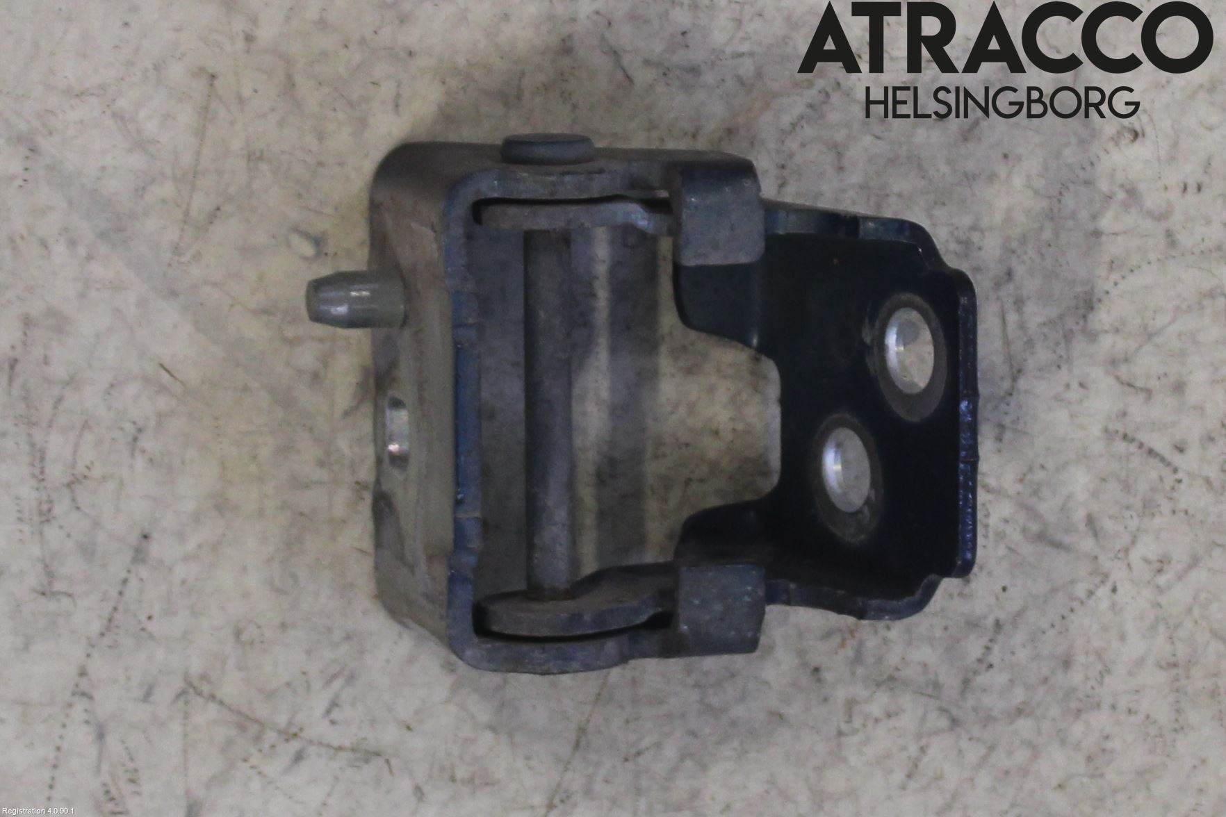 Citroen C5 08-17 Dörrgångjärn