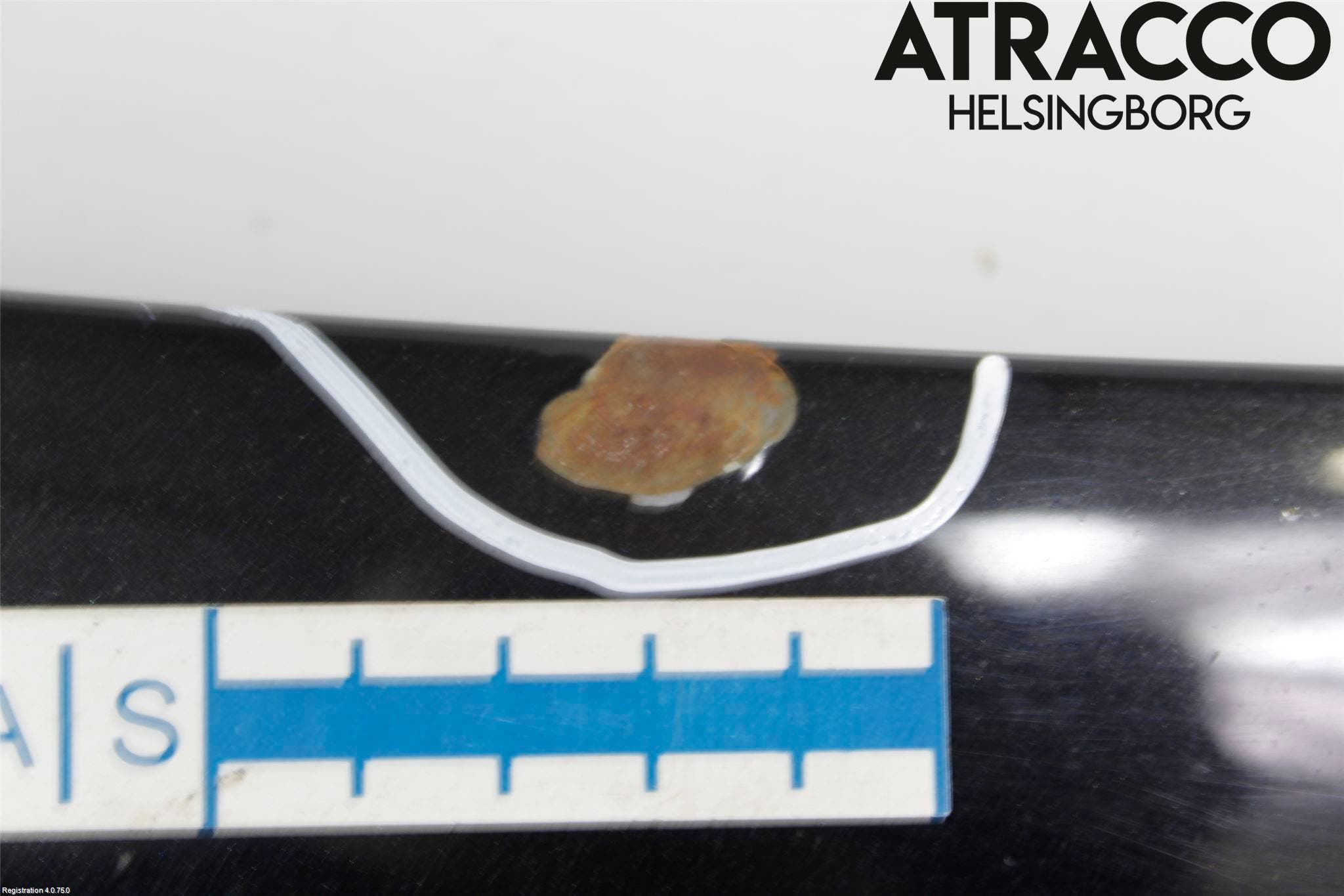 BMW X3 E83     03-10 Huv Fram