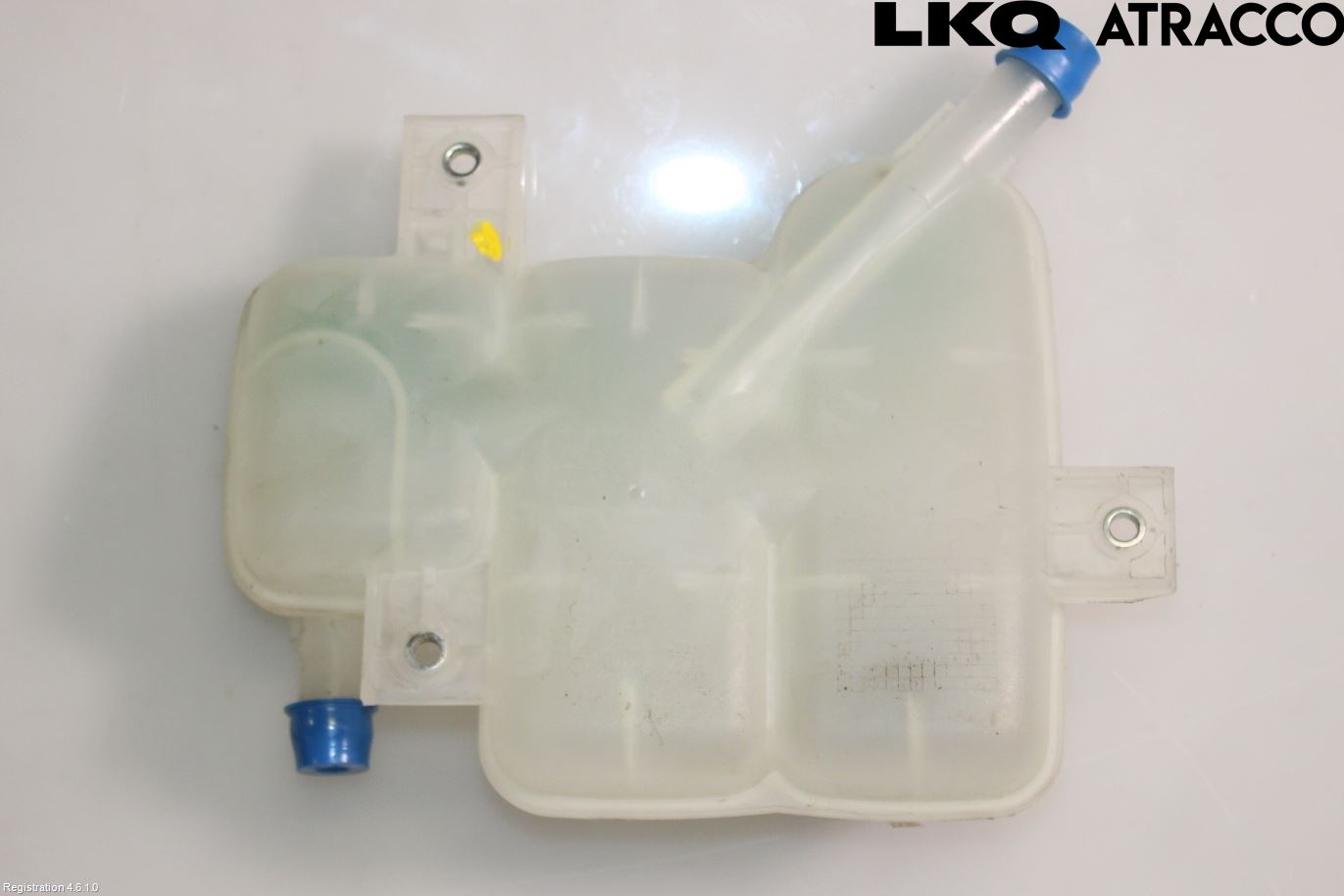 Kia NIRO (DE) 17-22 Expansionstank