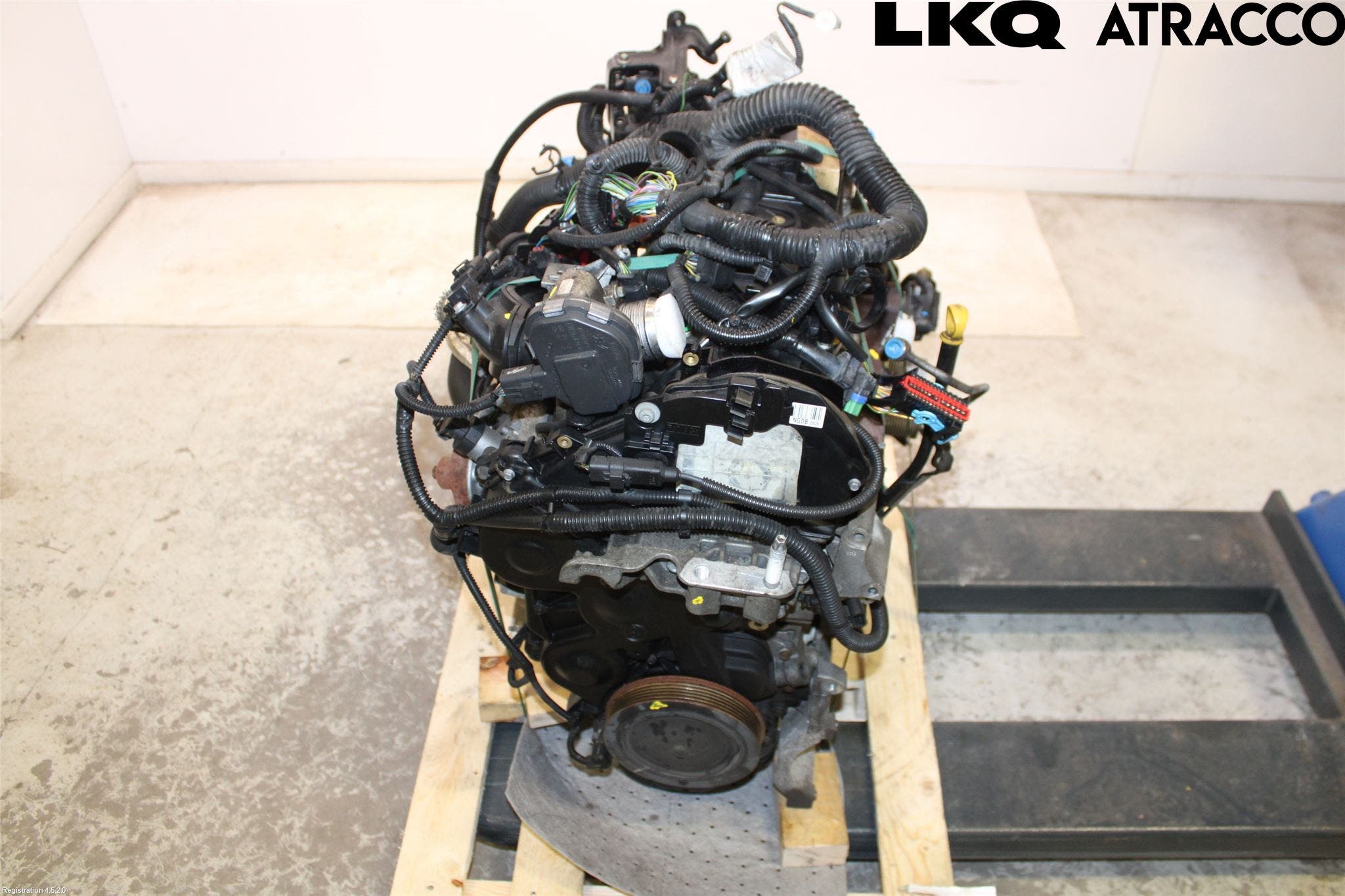 Ford FOCUS 11-14 Motor Diesel