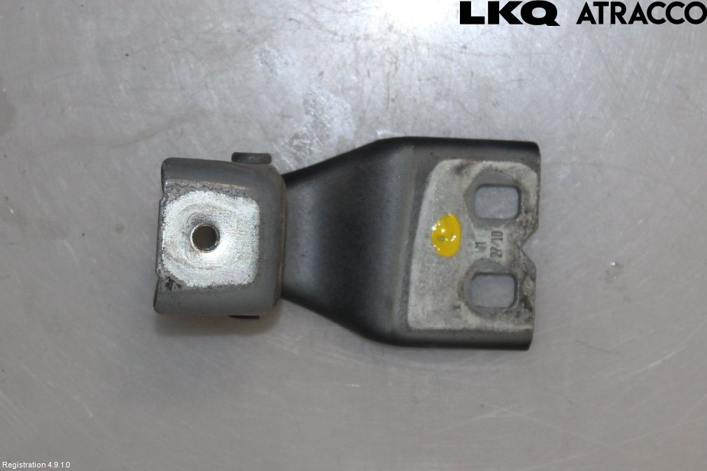 Ford KUGA 08-12 Bakluckegångjärn Vä