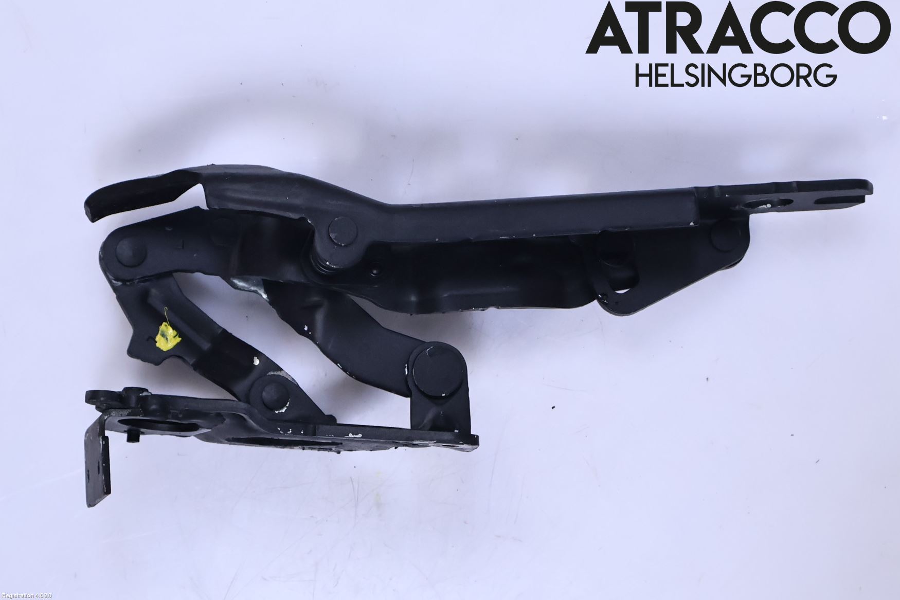 Fiat FREEMONT Huvgångjärn