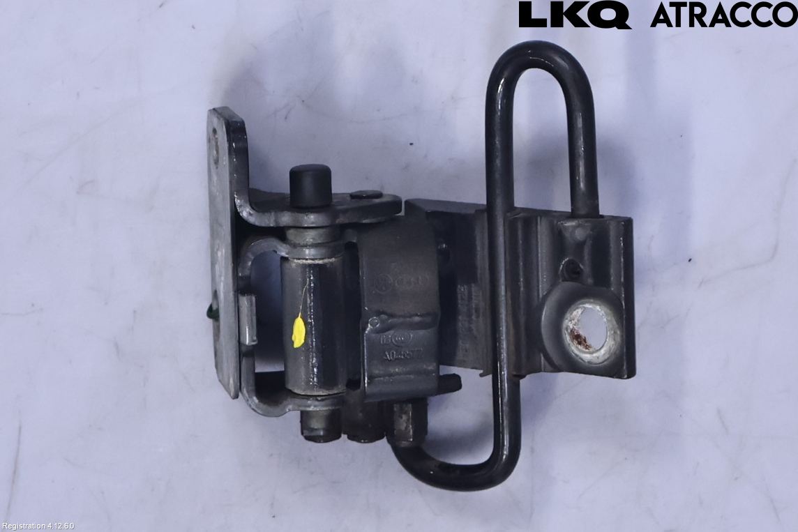 Audi A6/S6     05-11 Dörrgångjärn