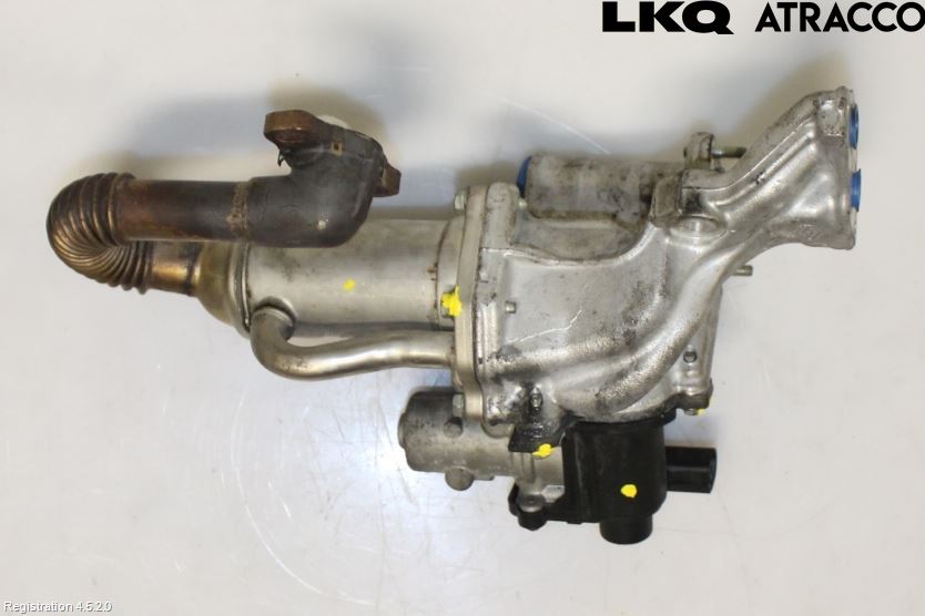 Nissan NV200/NV200 COMBI Egr Ventil