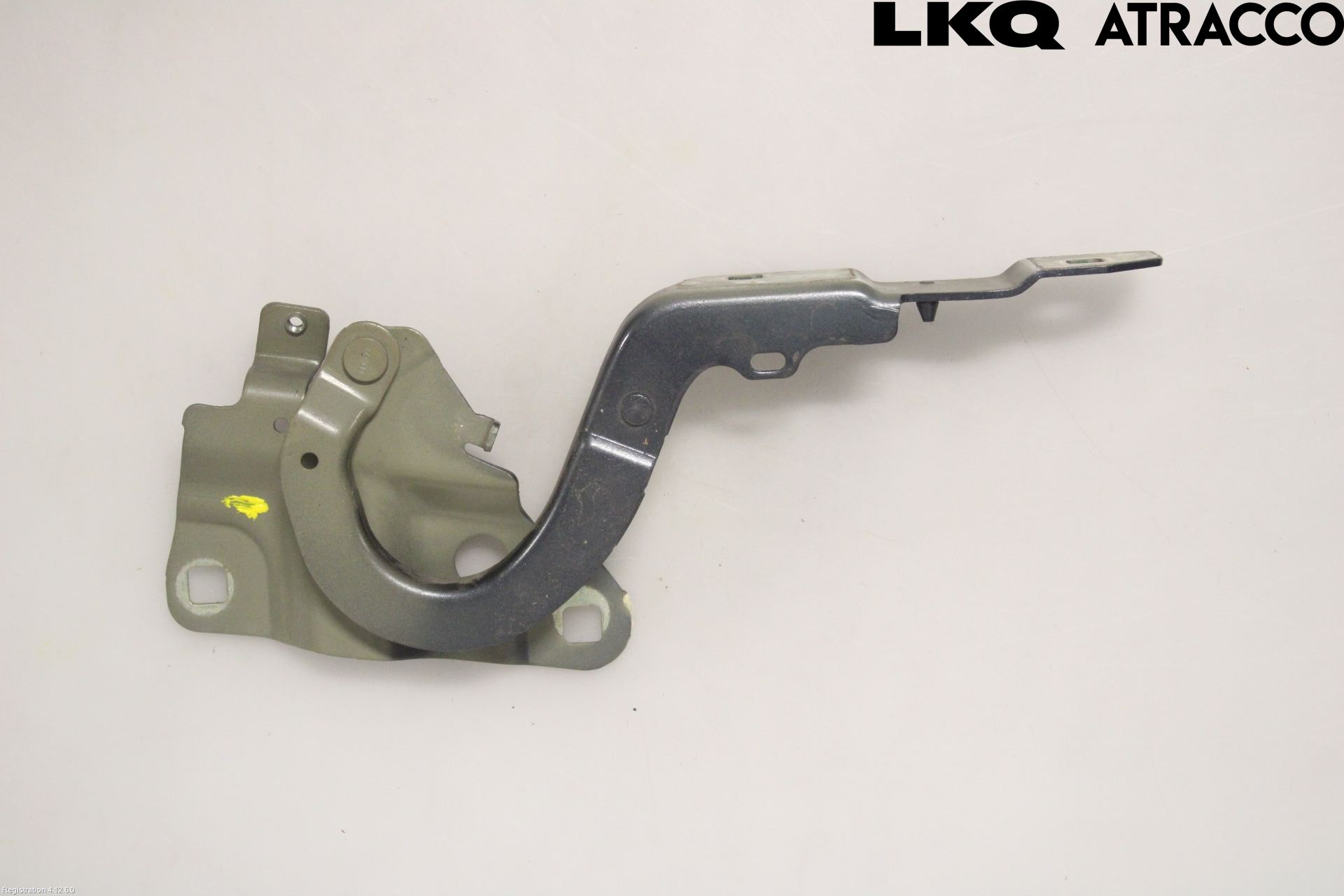 Renault ZOE/E-TECH 13- Huvgångjärn