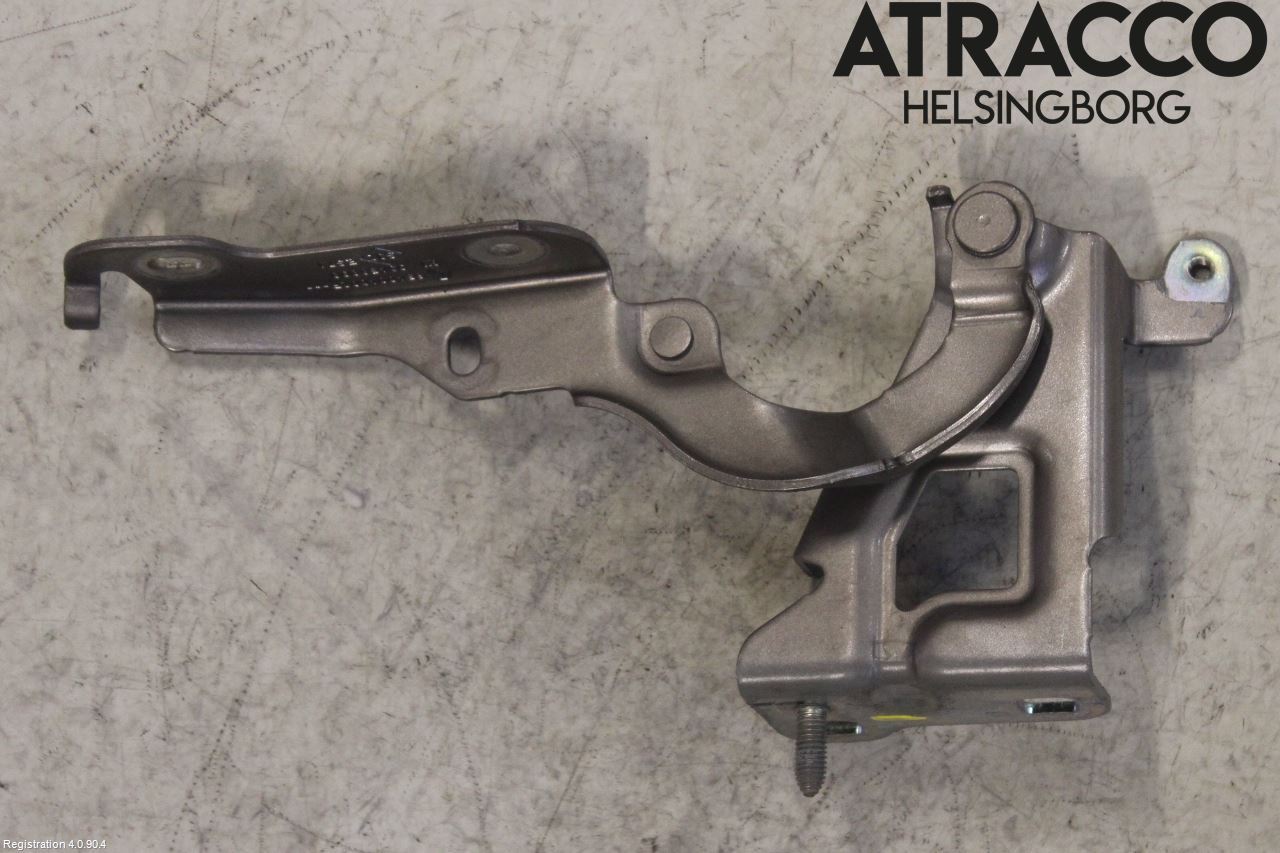 Renault TRAFIC/E-TECH 15- Huvgångjärn