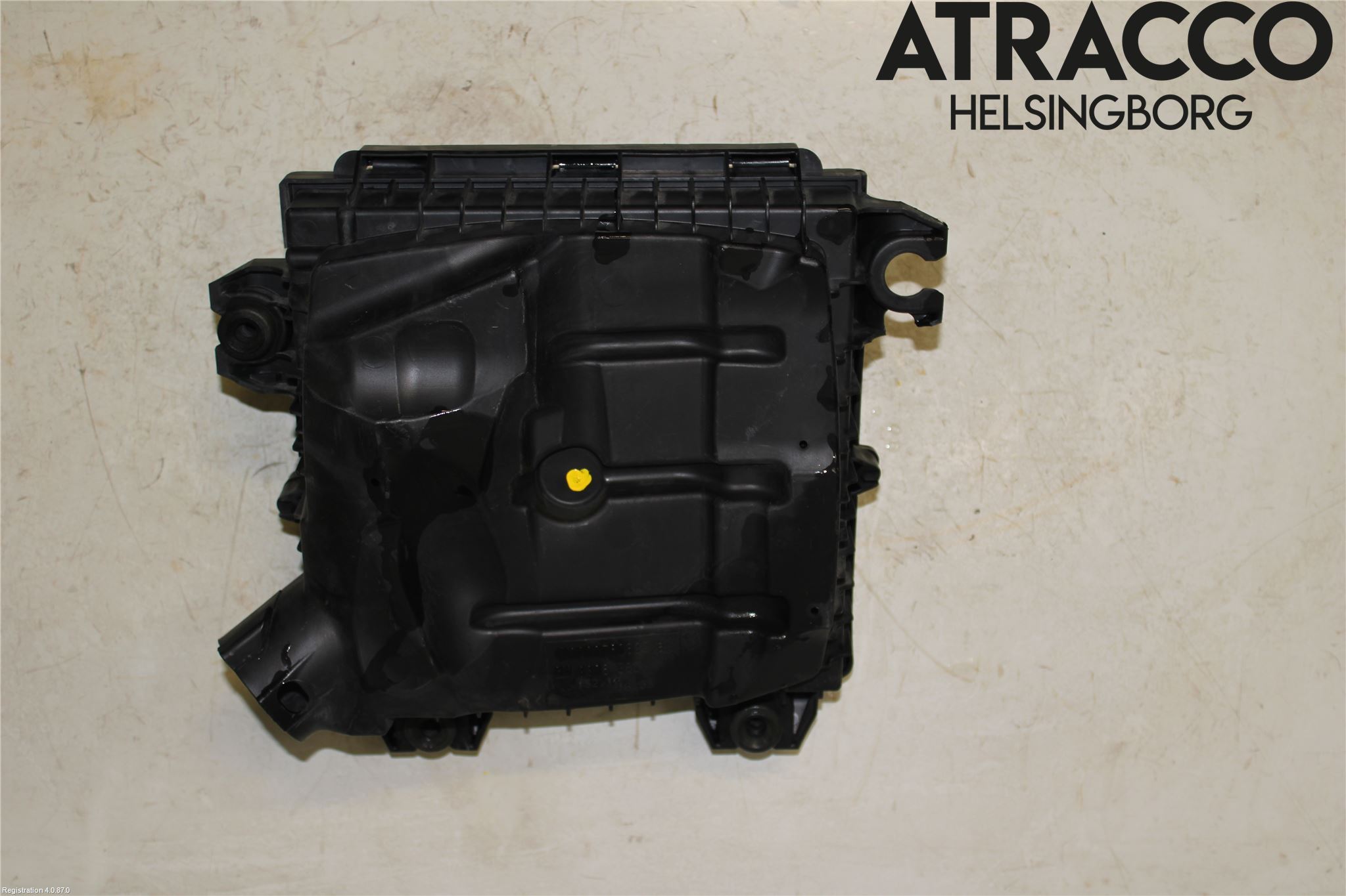 Renault TRAFIC   02-14 Luftrenare