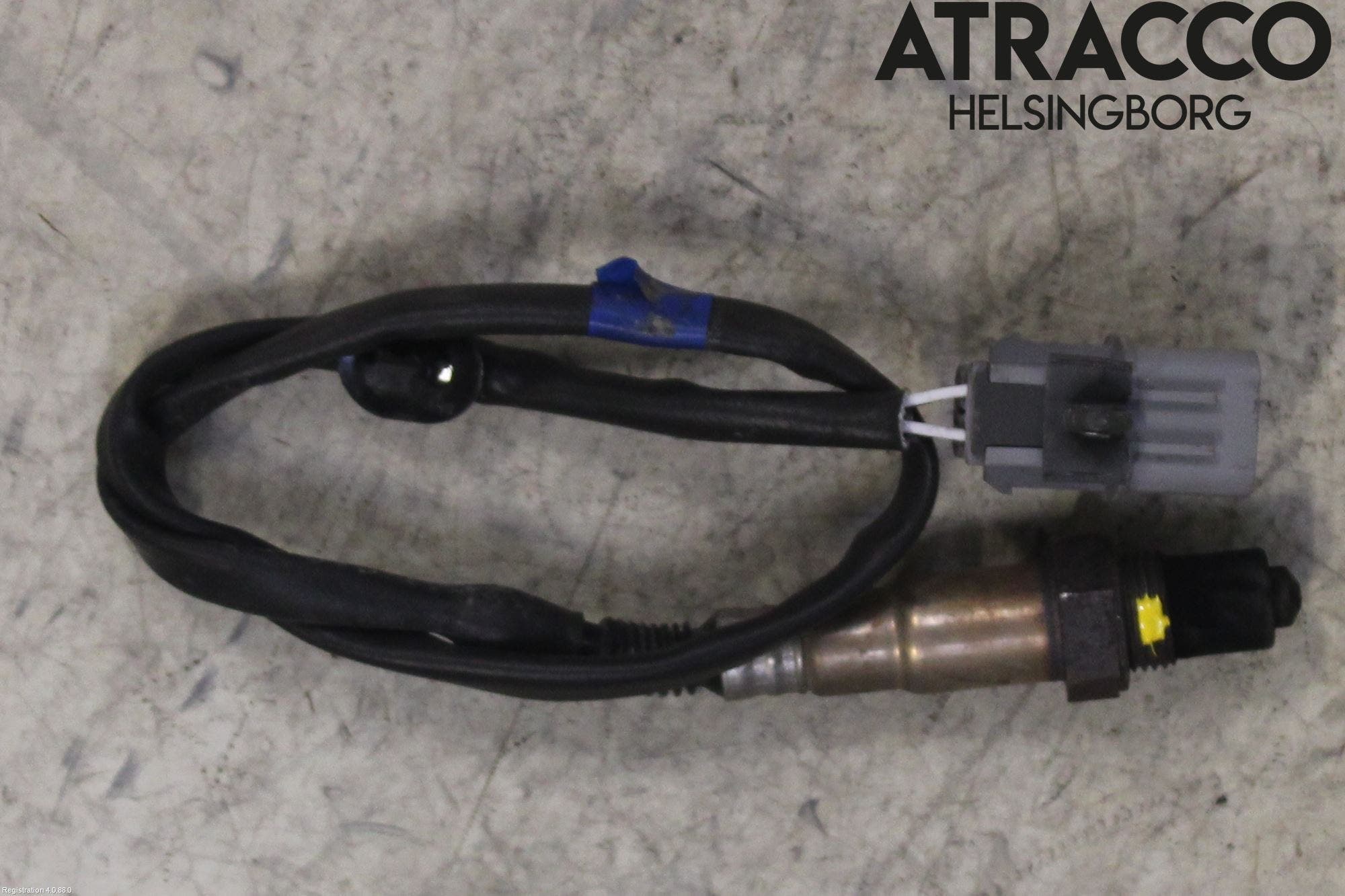 Kia CEED/CEED SW 19- Injlambdasond