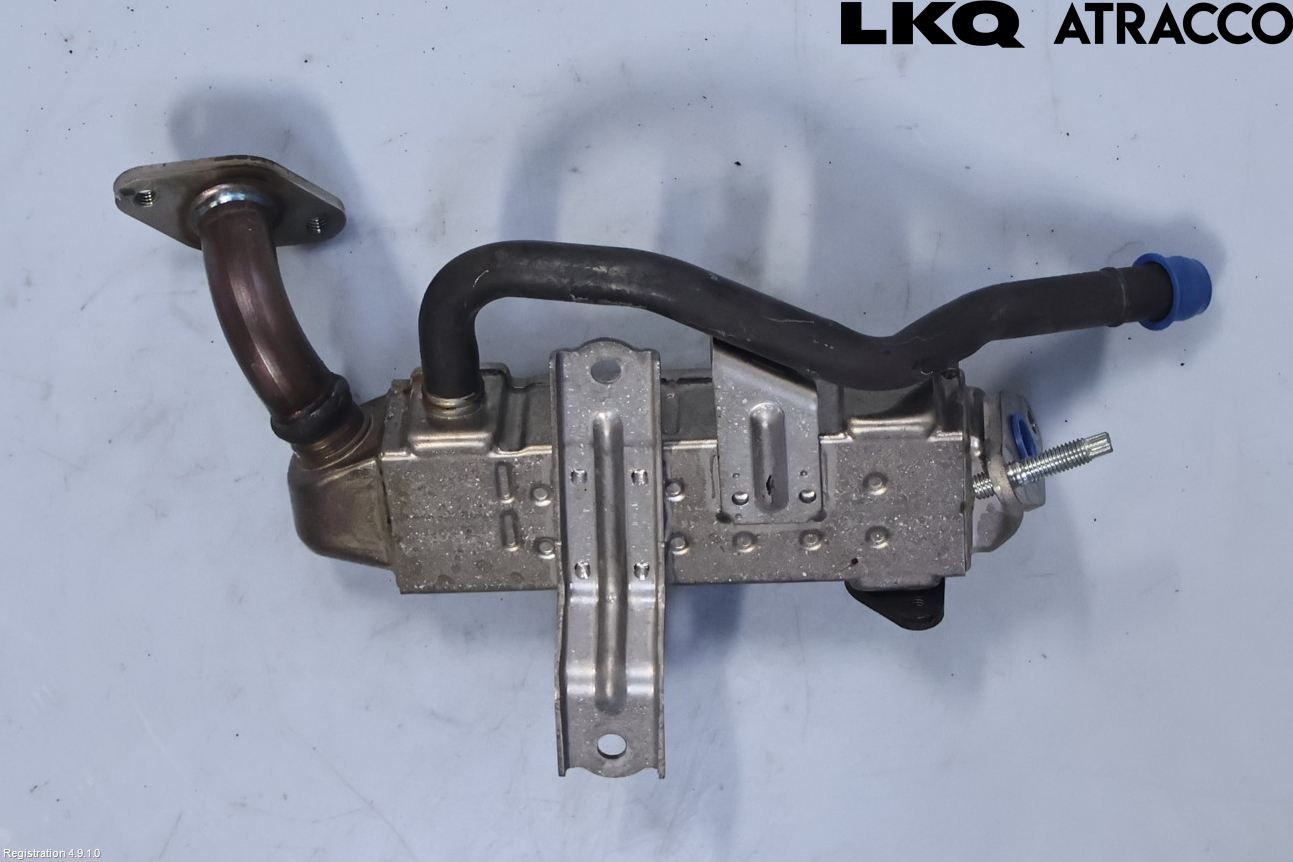 Lexus NX 300h 15-21 Avgaskylare