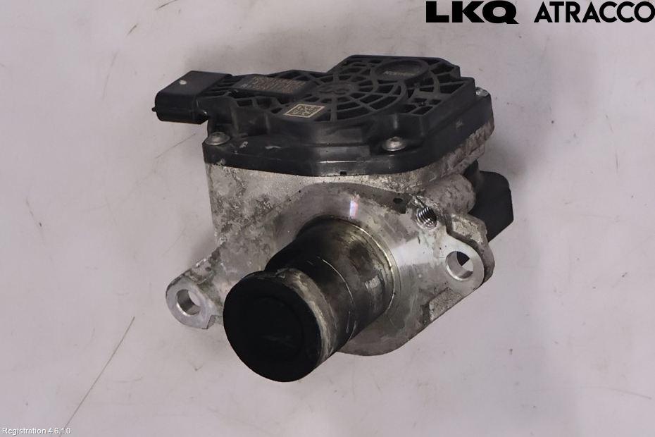 Renault KANGOO II 15-21 Egr Ventil