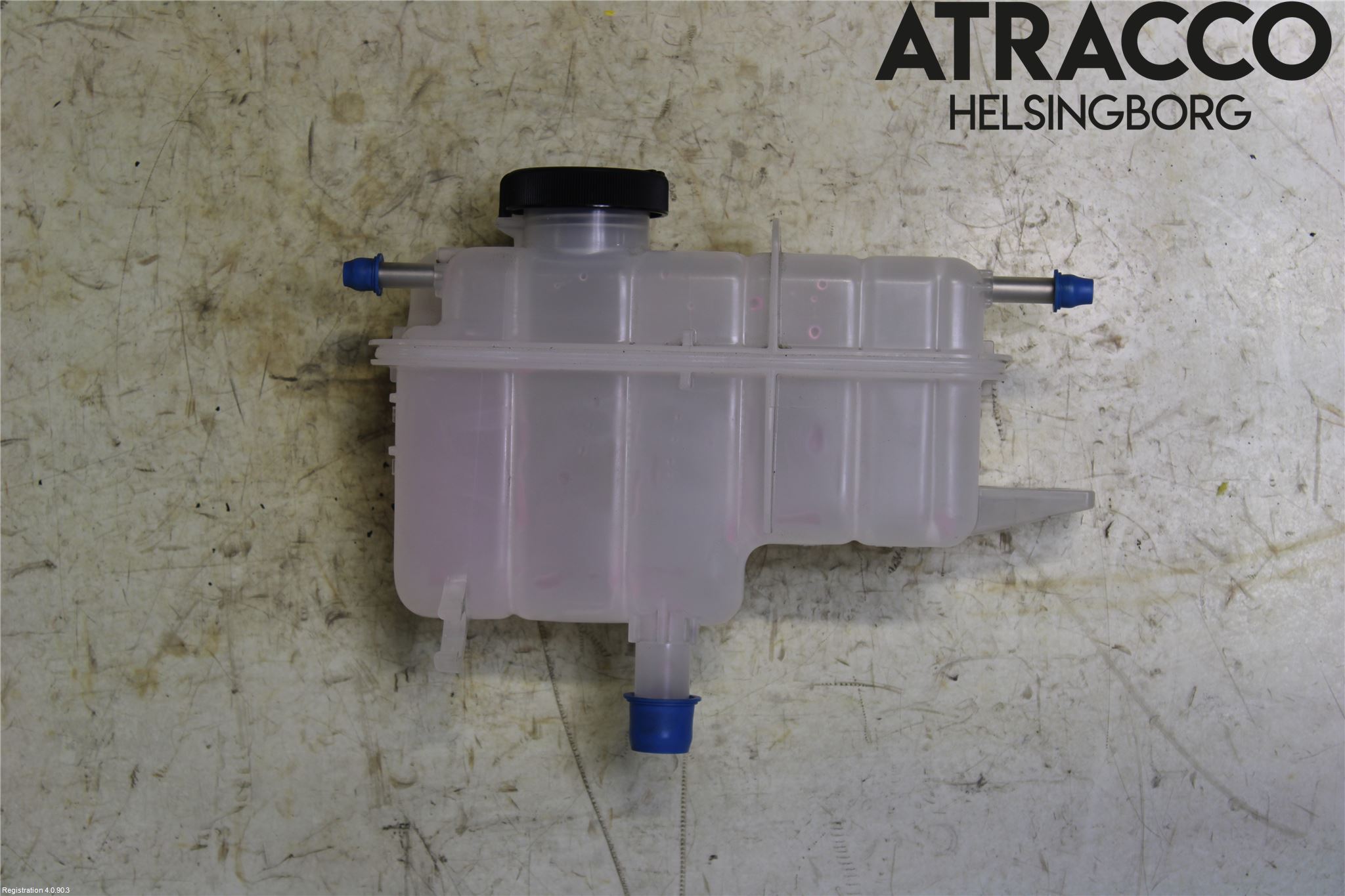 Lexus RX AL20 16-22 Expansionstank