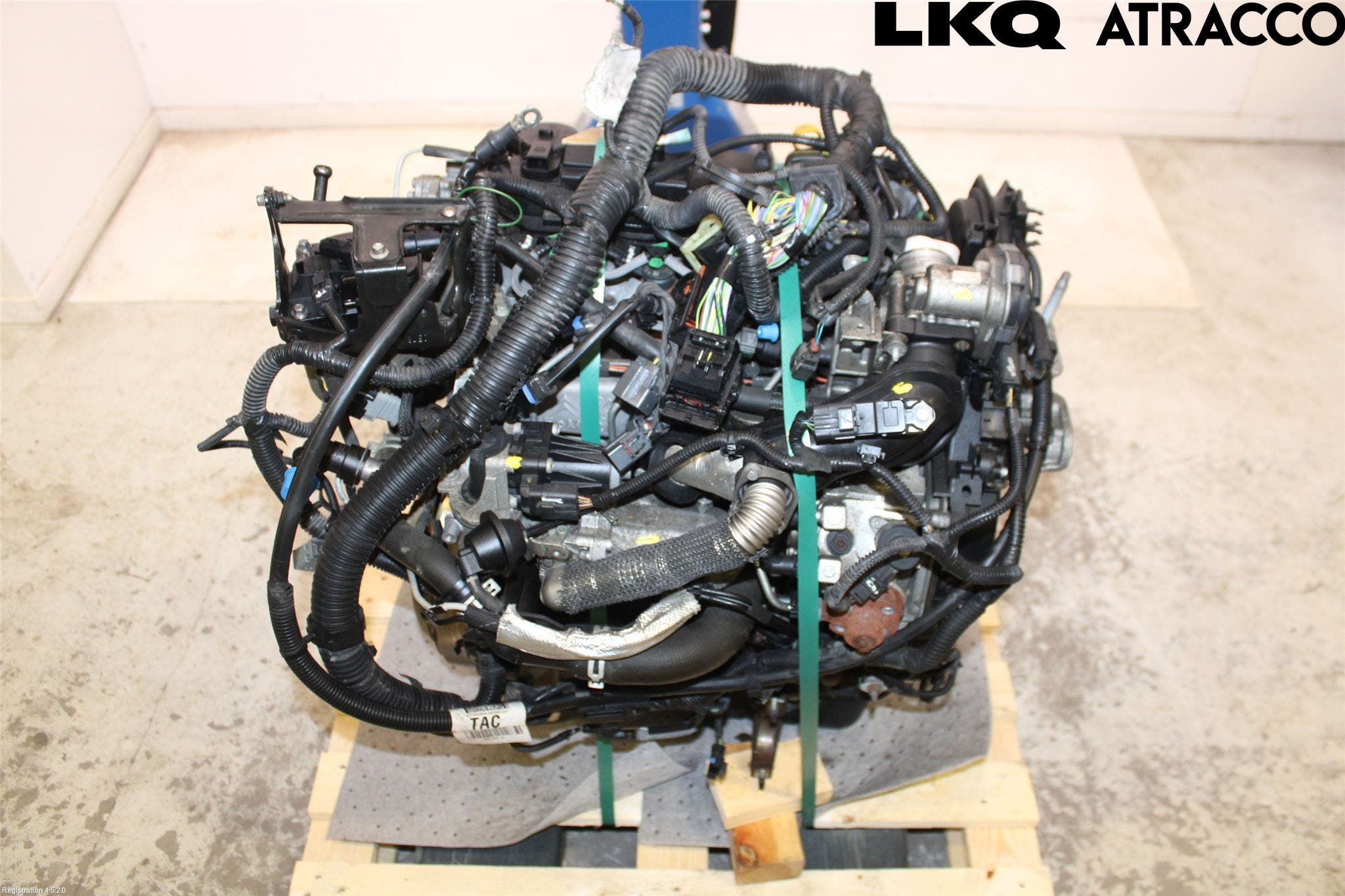 Ford FOCUS 11-14 Motor Diesel