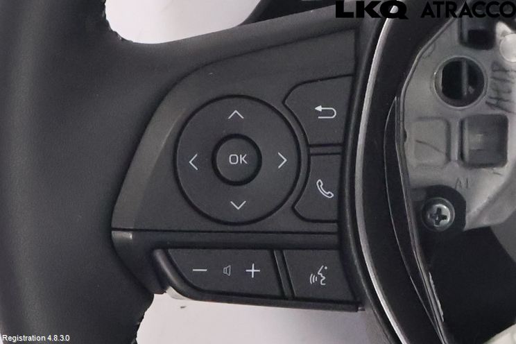 Toyota RAV4 19- Ratt