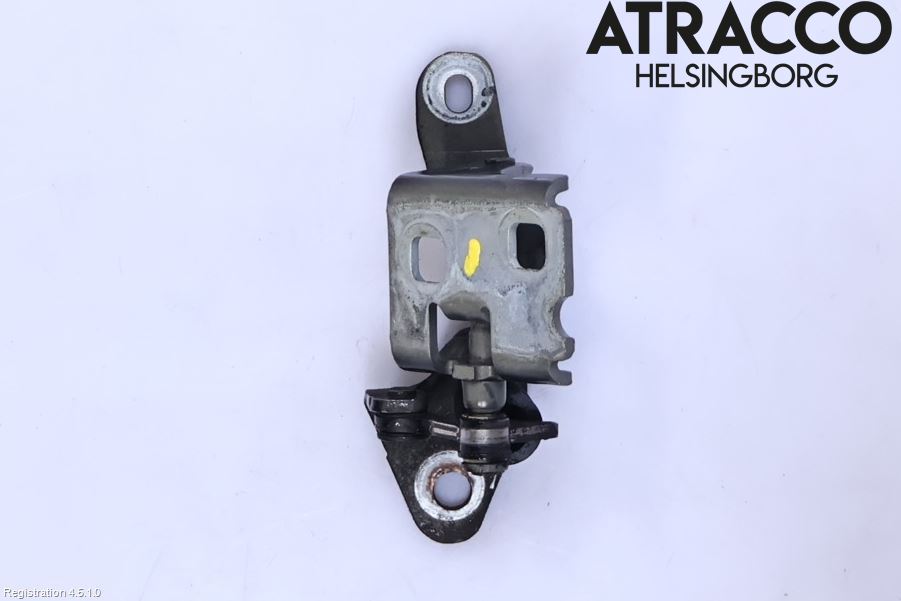 Fiat FREEMONT Dörrgångjärn