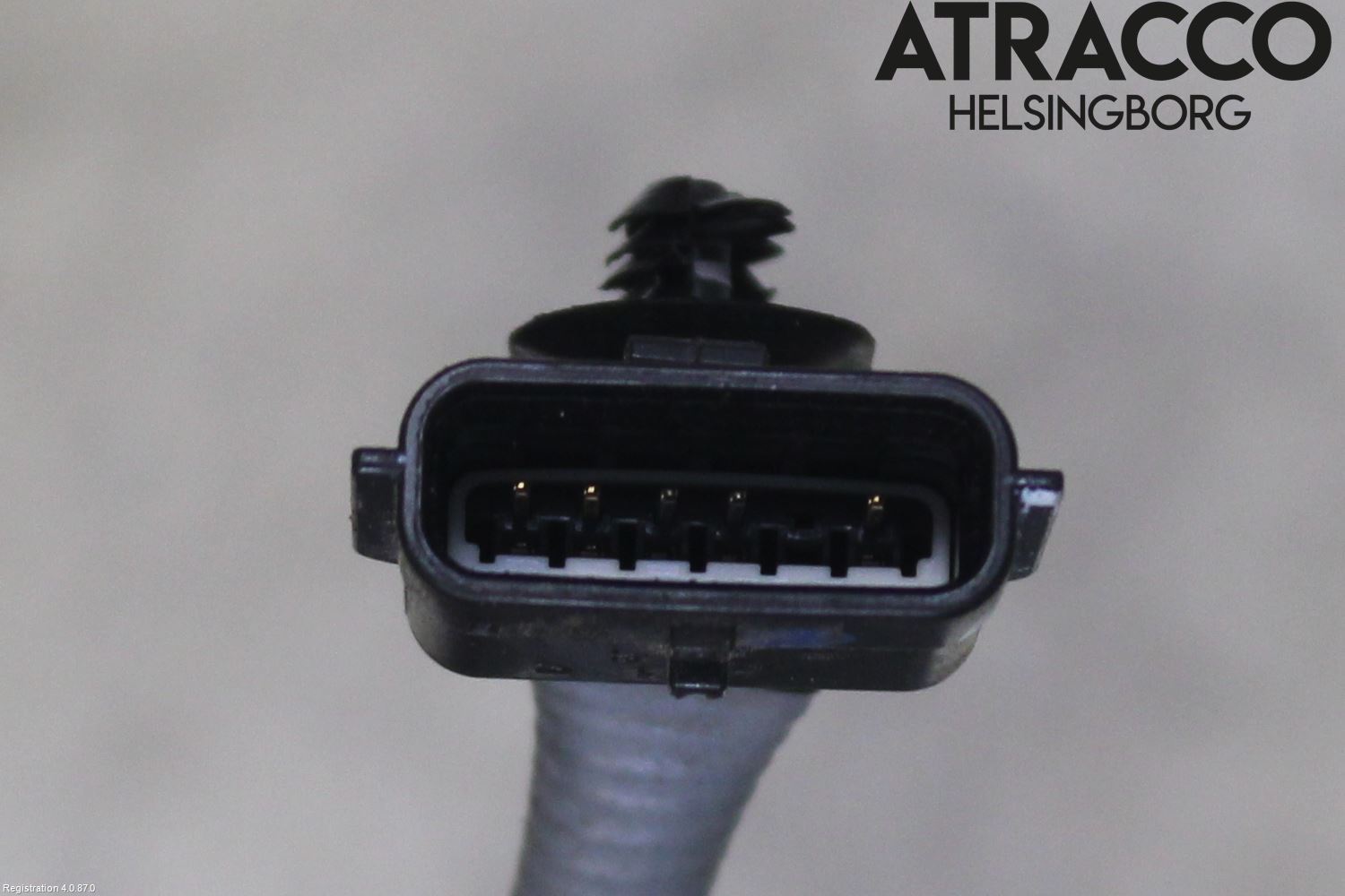 Renault TALISMAN 16-20 Injlambdasond