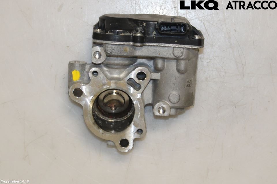 Renault KANGOO II 15-21 Egr Ventil