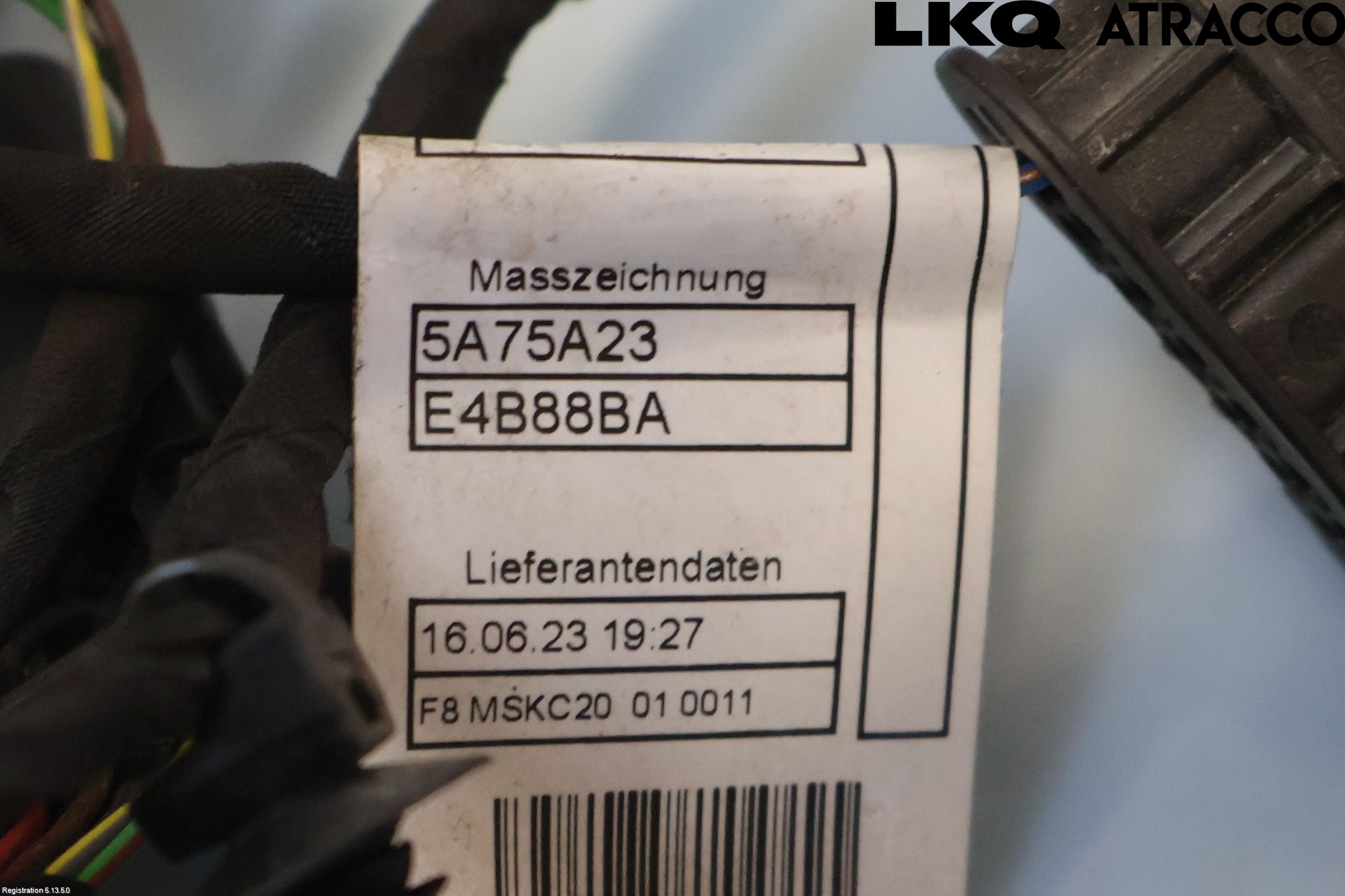 BMW X7 G07 19- Kabelhärva