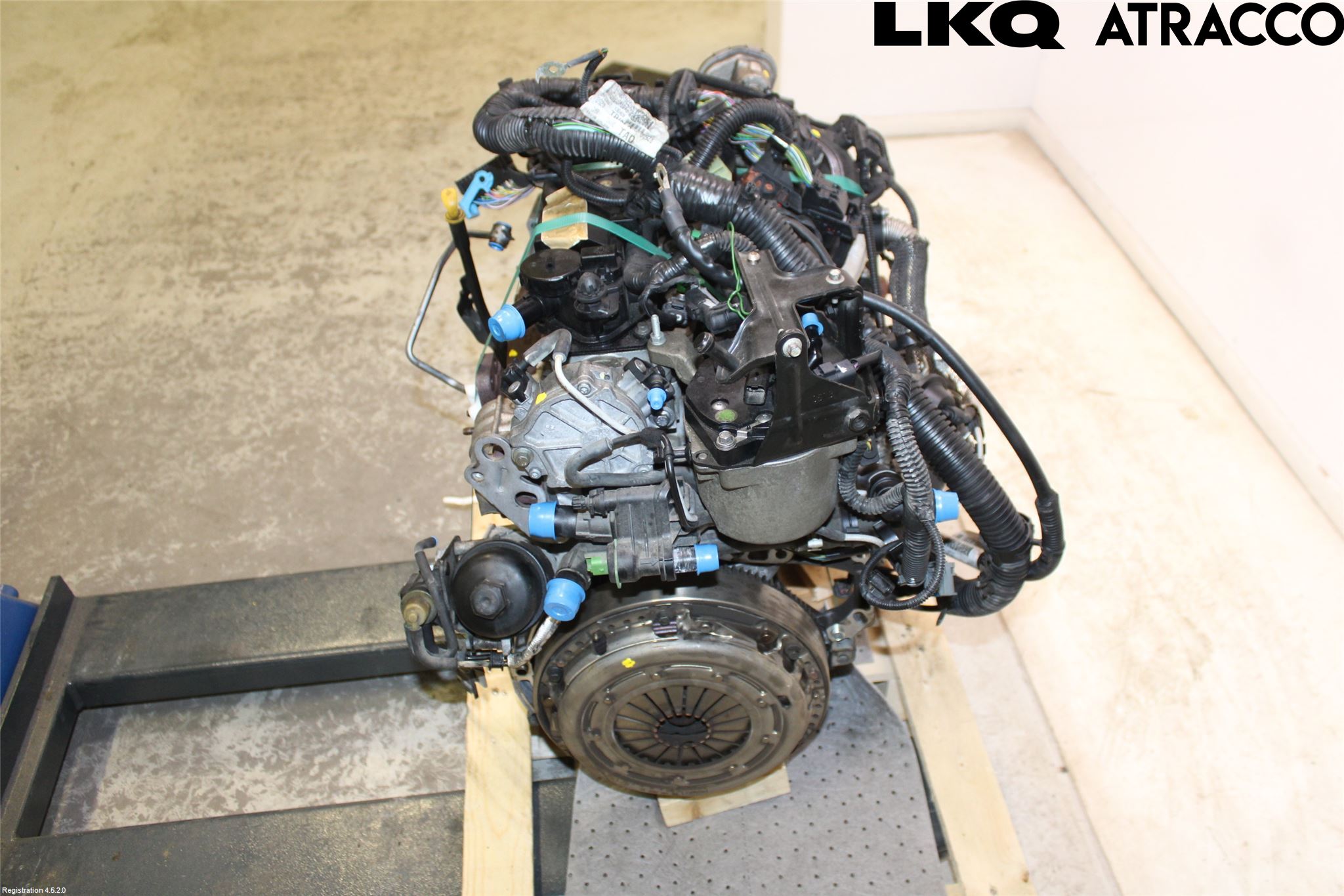 Ford FOCUS 11-14 Motor Diesel