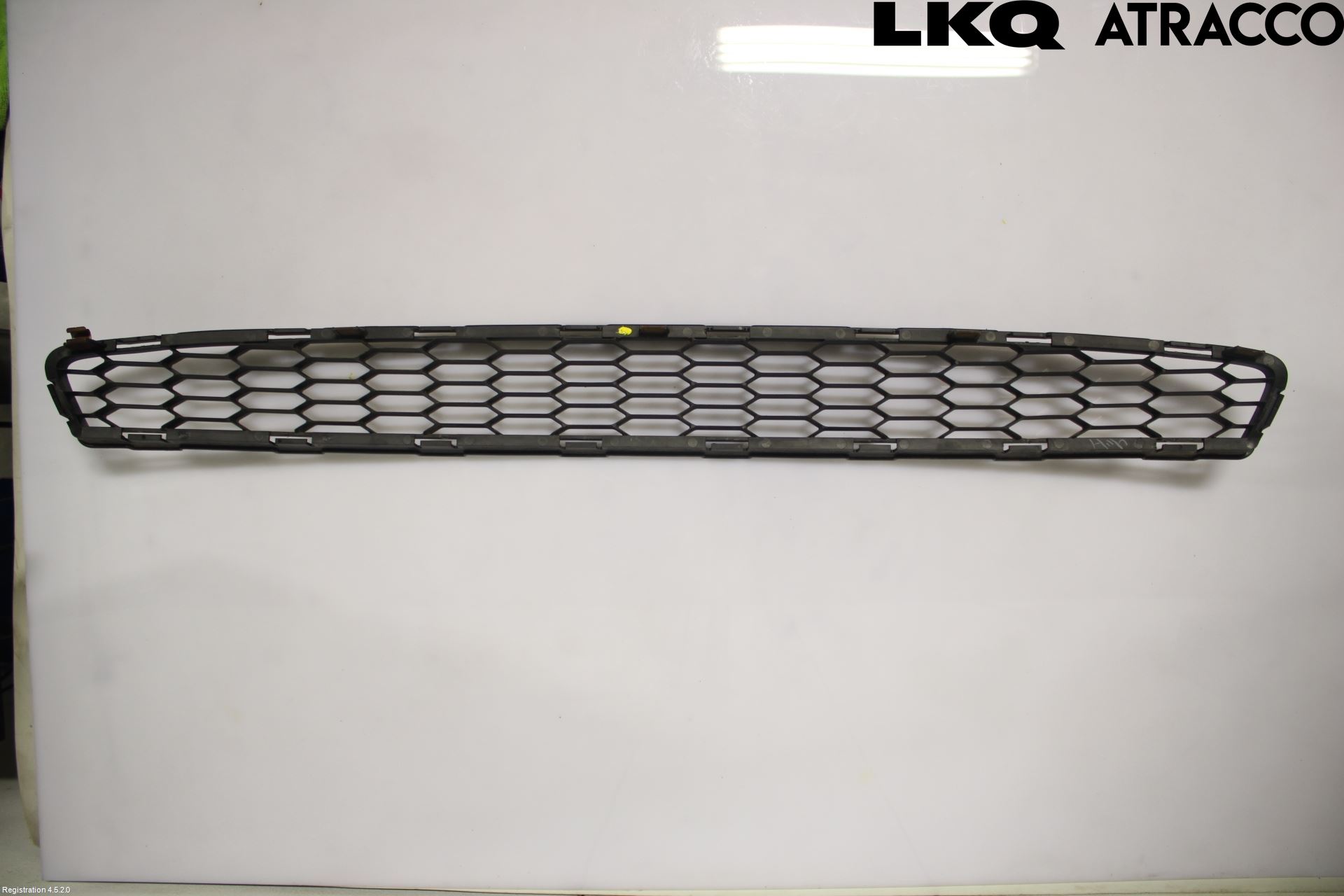 Nissan LEAF 11-17 Grilldel Mitt