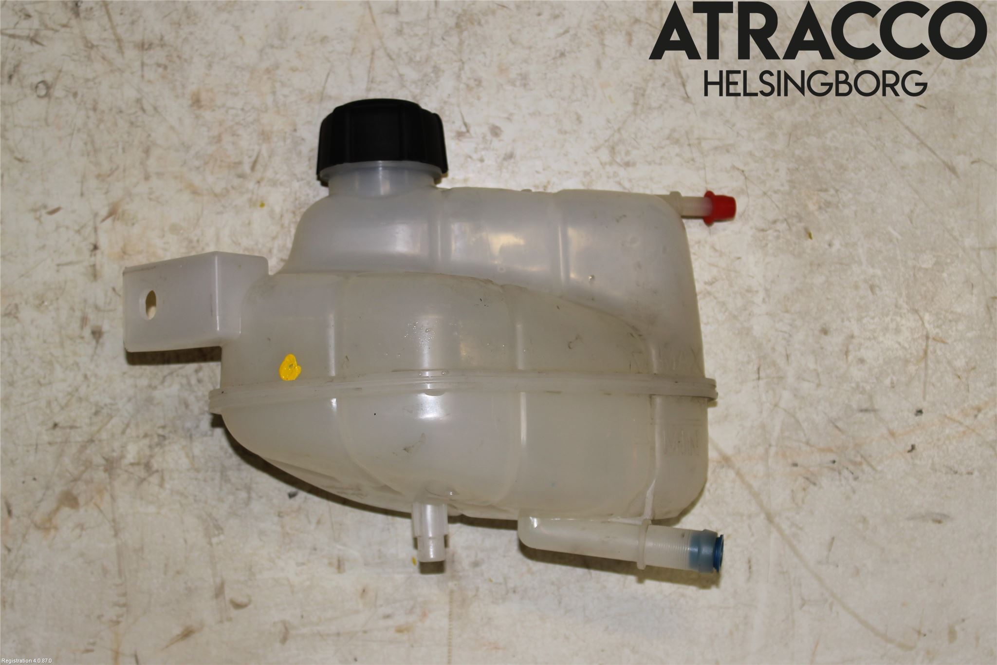 Nissan QASHQAI 17-21 Expansionstank